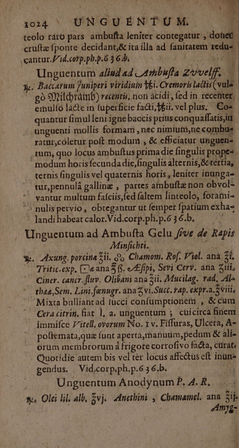 L4 dos | | ul 10242 ^ UNGUENTUM.. [3 teolo ráro pars ambufta leniter contegatur , doheé cruftz fponte decidant,&amp; ita illa ad fanitatem redus antur.J/id.corp.ph.p.6 3 6b. E Unguentum a//ud ad LA4ribufla Z/vvelf. . Ba&amp;arum Tuniperi viridiuin Vbi. Cremoris lactis (vula gó Sitdbrátmb) recentis, noti ácidi, fed in recenteg,. ernulfo là&amp;te in fuperficie faci, pii. vel plus; Cos quantur fimul leni igne baccis prius conquaffatis,in unguenti mollis formam , nec nimiufnne combus ratur,cóletur poft modum , &amp; efciatur unguen- ium, quo locus ambuftus primadie fingulis propes modum horis fecunda die,fingulis alternis, &amp; tertias ternis fingulis vel quaternis horis, leniter inunga- tur,pennulá galline , partes atmbuftz non obvol- * vantur multum fafciis,fed faltem linteolo, forami- ^5 nulispervio,, obtegantur ut femper fpatium exhas landi habeat calor.Vid.corp.ph.p.6 3 6.b, , Unguentum ad Ambufta Gelu ve de Rapis : Mincht. 05. o n w. xung. porcine zii. o Chamom. Rof. Viol. ana 2i. Tritic-exp, [2e ana 5 (. e/£fipi, Sevi Cerv. ana 2iii, Cincr. cancr. fluv. Olibani ana ii, Mucilag. fad. Al thaa,Sem. Lini fenugr. ána Z vi.Suct. fap. expr.a. S viii, Mixta bulliancad tucci confümptionet , &amp; cum Cera citrin, fiat 1, a, unguentum 5. cüicircà finem: immifce Zitell, ovorum No. 1 v. Fiffuras, Ulceta, A- polterata,quz funt apertá,manuum, pedum &amp; ali orum membrorum à frigote cortofivo facta, ctirat« Quotidie autem bis vel ter locus affe&amp;us eft inüne pendus, Vid.corp.ph.p.6 5 6.b. / Unguentum Anodynum P, A. R, v. Olci lil; alb, vj. adnerbini , Chemamel. ana zij. | «dmyg-