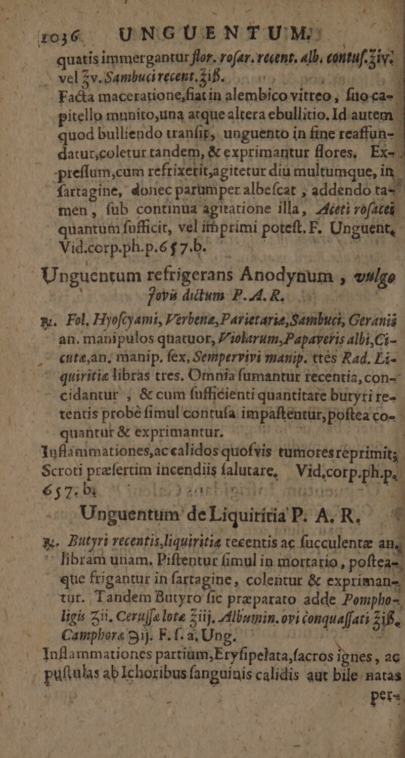 : Su M (o6; UNGUENTUM?!- quatis immergantur flor, rofar. rtétnt, alb, cattuf. eis * í ^ vel Zv.Sambua recent, diff. TED AN Facta macerarione;fiatin alembico vitreo , fuo ca- ^ itello munito,una arque altera ebullitio. Id.autem quod bulliendo tranfit, unguento ín fine reaffun- datuz,coletur tandem, &amp; exprimantur flores, Ex-; .pieffum,cum refrixetitagitetur diu multumque, in ' fartagine, donec parümper albeícat ; addendo tas men, fub continua agitatione illa, 24éeti vofacet. quantum fufficit, vel irhprimi poteft. F. Unguent, UN Vid-corp.ph.p. $75. | EN Unguentum refrigerans Anodynum , vslgo is Joys didum P. 4.R. 000 m. Fol, Hyofcyami, Vérbttte, Patietarie Sambuci, Geranii an. manipulos quatuor, Zzelarum,Papaveris albi,Ci- cute,an, manip. fex, Sempervivi manip. ttes Rad. Ei-. quiritie libras tres. Omnia fumantur recentia, con-- cidantur ; &amp; cum fufficienti quantitate butyri re- tentis probé fimul contufa impaftentür, poftea co- quantur&amp; exprimantur, «707 77 4 Tuflámmationes,accalidos quofvis tumores reprimit; Scroti przfertim incendiis falutare, Vid,corp.pli.p, 657: bi ij 2 aa ECEQOIC RIG3uoUTU T Unguentum deLiquirítiaP. A. R, * y. Butyri recentis,liquiritia teeentis ac fucculenta an4j  libram unam. Piftentur (imul in. mortario , pofteas. que frigantur in fartagine, colentur &amp; exprimanz: tur. Tandem Butyro fic preparato adde Pompho-. ligis Zii, Cerujja lote Zi ij. lbumin. ovi conqua[Jati 218. Campbore 9j. F.(.a,Ung. ' UCET COE ^ Inflammationes partiüm,Eryfipelata,facros ipnes, ac MAS, puftulas ab Ichoribus fanguinis calidis aut bile. natas XT MESA pA vu opes A  R 1 ' ^ v M *  - r l | * - ' 