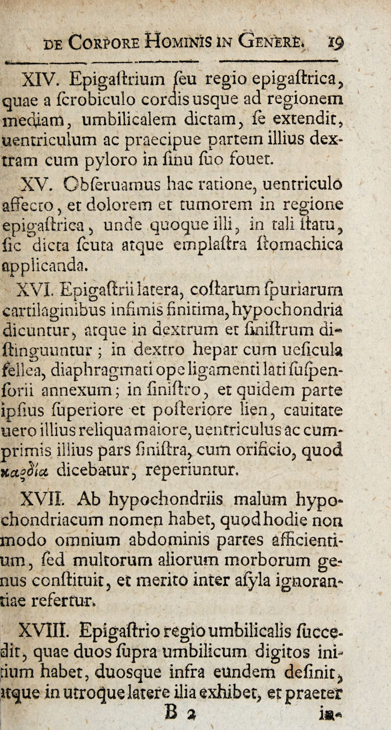 4» mi tmmmm ■ »■■■ ■—1 ■ —— n, J 1 UJ JJ f11 “i- 1 ■' r’*1*^^»^***1*-****-*** XIV. Epigaftrium feu regio epigaitrica, quae a fcrobiculo corais usque ad regionem mediam, umbilicalem dictam, fe extendit, uentriculum ac praecipue partem illius dex¬ tram cum pyloro in flnu luo fouet. XV. Obleruamus hac ratione, uenrriculo affecto, et dolorem et tumorem in regione epigaitrica, unde quoque illi, in tali itatu, fic dicta fcuta atque emplaitra liomachica applicanda. XVI. Epigaftrii latera, coftarum ipuriarum cartilaginibus infimis finitima, hypochondria dicuntur, atque in dextrum et iiniitrum di- ftinguuntur ; in dextro hepar cum ueficula fellea, diaphragmati ope ligamenti lati fuipen- forii annexum; in finiftro, et quidem parte ipfius iuperiore et polteriore lien, cauitare nero illius reliqua maiore, uentriculus ac cum¬ primis illius pars finiftra, cum orificio, quod jlaciet dicebatur, reperiuntur. XVII. Ab hypochondriis malum hypo¬ chondriacum nomep habet, quod hodie non modo omnium abdominis parces afficienti¬ um , fed multorum aliorum morborum ge¬ nus conftituit, et merito inter afyla ignoran¬ tiae refertur. XVIII. Epigaftrio regio umbilicalis fiicce- dit, quae duoslupra umbilicum digitos ini¬ tium habet, duosque infra eundem definit) itque in utroque latere ilia exhibet, et praeter B a i*-