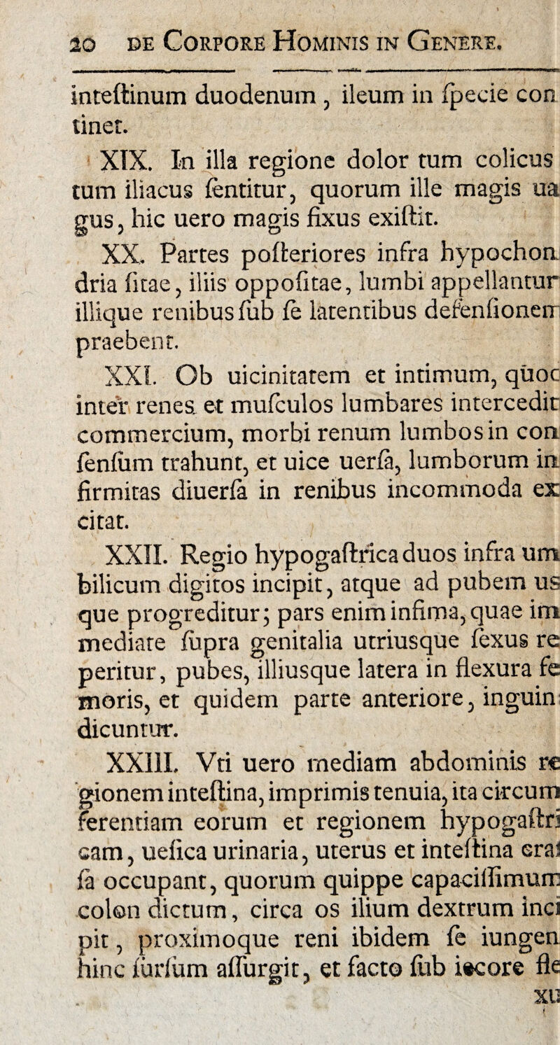 inteftinum duodenum , ileum in fpecie con tinet. XIX. In illa regione dolor tum colicus tum iliacus fentitur, quorum ille magis ua gus, hic uero magis fixus exiftit. XX. Partes pofleriores infra hypochon dria fitae, iliis oppofitae, lumbi appellantur iliique renibus fub fe latentibus defenfionerr XXL Ob uicinitatem et intimum, quoc inter renea et mufculos lumbares intercedit commercium, morbi renum lumbos in con lenium trahunt, et uice uerla, lumborum in firmitas diuerfa in renibus incommoda ex citat. XXII. Regio hypogaftrica duos infra um bilicum digitos incipit, atque ad pubem us que progreditur; pars enim infima, quae im mediare lupra genitalia utriusque fexus re peritur, pubes, illiusque latera in flexura fe moris, et quidem parte anteriore, inguin dicuntur. XXIII. Vti uero rnediam abdominis re gionem inteftina, imprimis tenuia, ita circum ferendam eorum et regionem hypogaftri cam, uefica urinaria, uterus et inteltina erai ia occupant, quorum quippe capaciflimurr colon dictum, circa os ilium dextrum inci pit, proximoque reni ibidem fe iungen hinc ludum aflurgit, et facto fub i*core fle . xu i praebent