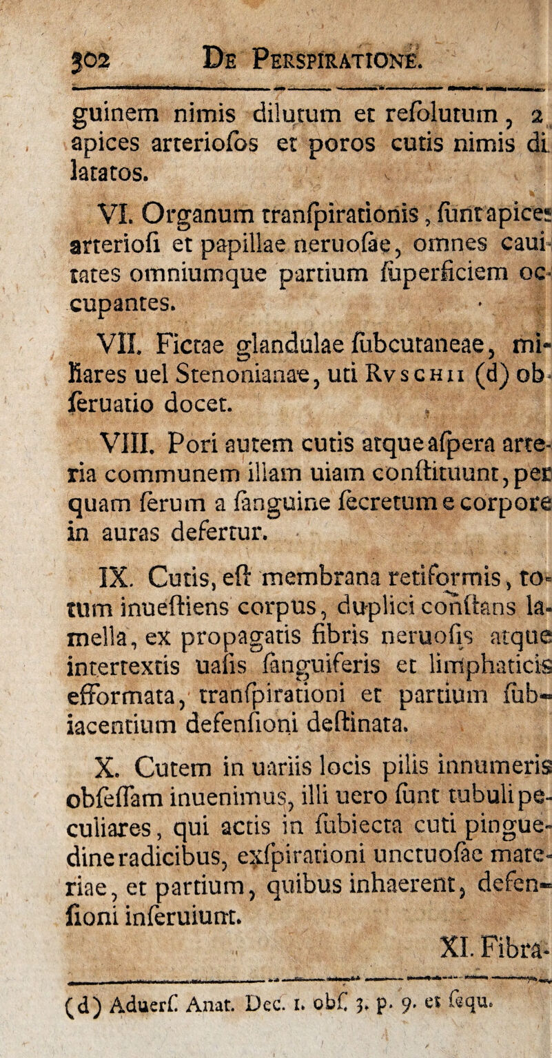 guinem nimis dilutum et refblurum, 2 apices arteriolos et poros cutis nimis dl latatos. VI. Organum tranfpirariortis, funt apice; arteriofi et papillae neruolae, omnes caui tates omniumque panium fuperficiem oc cupantes. VII. Fictae glandulae lubcutaneae, mi¬ liares uel Stenonianae, uti Rvschii (d) ob- ieruatio docet. , VIII. Pori autem cutis atque afpera arte¬ ria communem illam uiam conftituunt,peE quam ferum a fanguine fecretum e corpore in auras defertur. IX. Cutis, efl: membrana retiformis, to¬ tum inueftiens corpus, duplici confians la¬ mella, ex propagatis fibris neruofis atque intertextis uaiis (anguiferis et limphaticis efFormata, tranfpirationi et partium fub— iacentium defenfioni deftinata. X. Cutem in uariis locis pilis innumeris obfeflam inuenimus, illi uero funt tubuli pe¬ culiares , qui actis in fubiecta cuti pingue¬ dine radicibus, etvfpirationi unctuofae mate¬ riae, et partium, quibus inhaerent, defen- fioni inferuiunt. XI. Fibra- (d) Aduerf Anat. Dee. I. obf 5. p. 9. et f«qu.