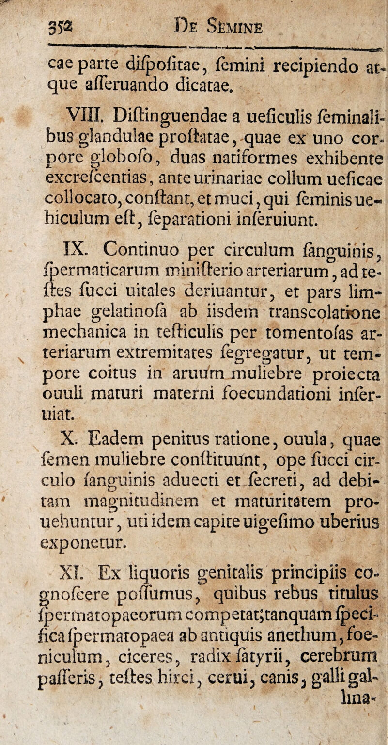 cae parte di/politae, femini recipiendo at* que afTeruando dicatae. VIII. Diftinguendae a ueficulis feminali¬ bus glandulae proflatae, quae ex uno cor- pore globofo, duas nadformes exhibente excrefcentias, ante urinariae collum ueficae collocato, conflant, et muci, qui feminis ue- hiculum eft, feparationi inferuiunt. IX. Continuo per circulum fanguinis, fbermaticarum minifterio arteriarum, ad te- ftes fucci uitales deriuantur, et pars lim¬ phae gelatinofa ab iisdem transcolatione mechanica in tefticulis per tomentofas ar¬ teriarum extremitates fegregatur, ut tem¬ pore coitus in aruum muliebre proiecta ouuli maturi materni foecundationi infer- uiat. X. Eadem penitus ratione, ouula, quae femen muliebre conflituunt, ope fucci cir¬ culo fanguinis aduecti et fecreti, ad debi¬ tam magnitudinem et maturitatem pro- uehuntur, uti idem capite uigefimo uberius exponetur. XI. Ex liquoris genitalis principiis co- gnofcere poffumus, quibus rebus titulus fpermatopaeorum competat;tanquam fpeci- ficafpermatopaea ab antiquis anethum,foe- nicuium, ciceres, radix fatyrii, cerebrum palleris, tettes hirci, cerui, canis, galli gal-