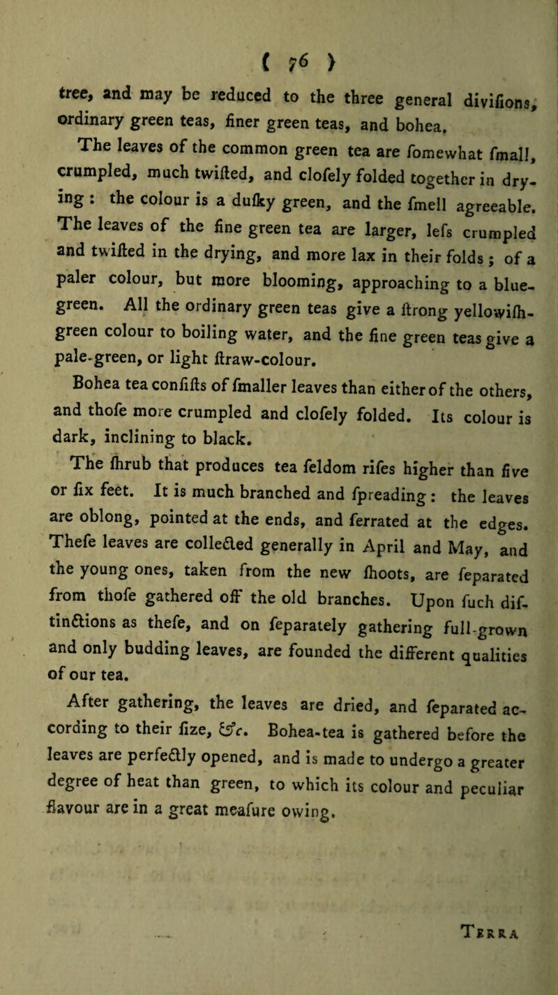 tree, and may be reduced to the three general divifions, ordinary green teas, finer green teas, and bohea. The leaves of the common green tea are fomewhat fmall, crumpled, much twilled, and clofely folded together in dry! ing : the colour is a dufky green, and the fmell agreeable. The leaves of the fine green tea are larger, lefs crumpled and twilled in the drying, and more lax in their folds; of a paler colour, but more blooming, approaching to a blue- green. All the ordinary green teas give a llrong yellowilh- green colour to boiling water, and the fine green teas give a pale-green, or light llraw-colour. Bohea tea confills of fmaller leaves than either of the others, and thofe more crumpled and clofely folded. Its colour is dark, inclining to black. The Ihrub that produces tea feldom rifes higher than five or fix feet. It is much branched and fpreading: the leaves are oblong, pointed at the ends, and ferrated at the edges. Thefe leaves are colleded generally in April and May, and the young ones, taken from the new Ihoots, are feparated from thofe gathered off the old branches. Upon fuch dif. tinflions as thefe, and on feparately gathering full-grown and only budding leaves, are founded the different qualities of our tea. After gathering, the leaves are dried, and leparated ac¬ cording to their fize, ^c. Bohea-tea is gathered before the leaves are perfedlly opened, and is made to undergo a greater degree of heat than green, to which its colour and peculiar flavour are in a great meafure owing. Terra