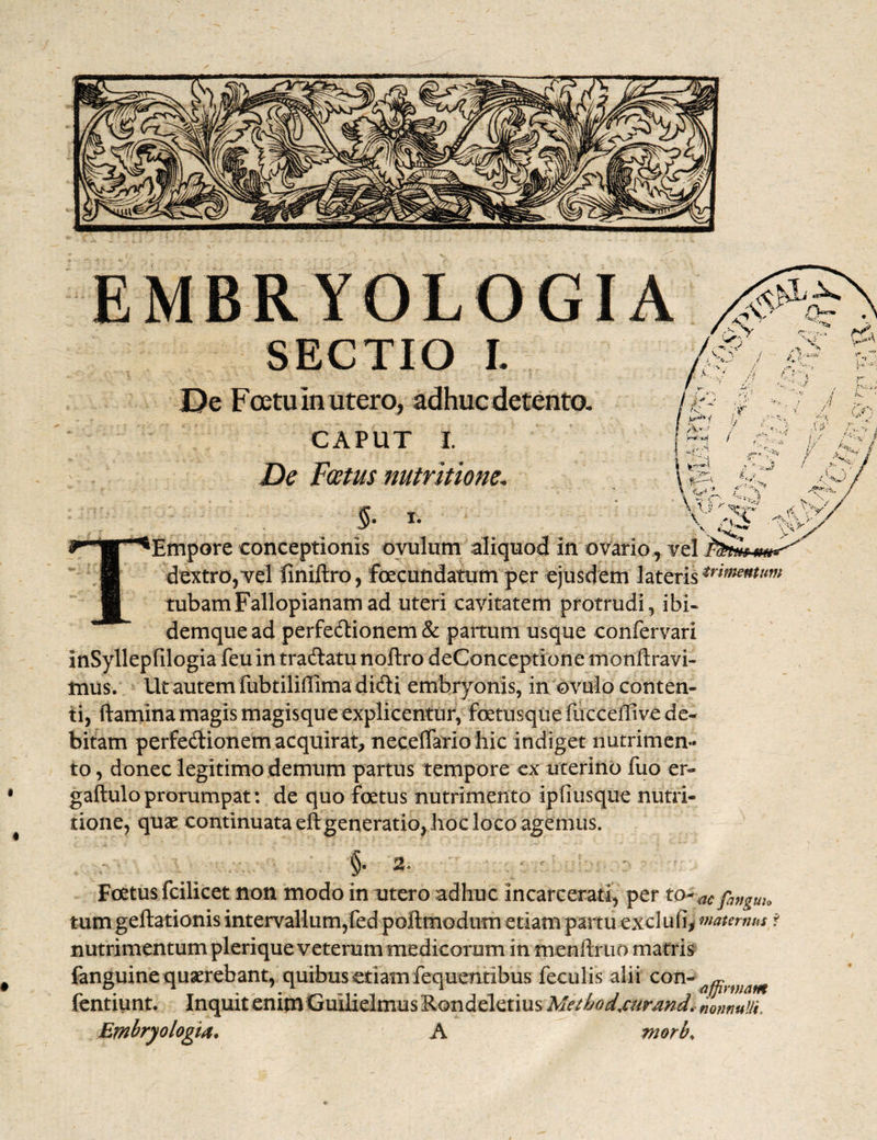 SECTIO L De Fcetu In utero, adhuc detento, CAPUT i. De Foetus nutrltione. I. ‘Empore conceptionis ovulum aliquod in ovario, vel dextro, vel finiftro, fecundatum per ejusdem lateris trionum tubam Fallopianam ad uteri cavitatem protrudi, ibi- demquead perfedionem & partum usque confervari inSyllepfilogia feu in tradatu noftro deConceptione monftravi- mus. Ut autem fubtiliffima didi embryonis, in ovulo conten¬ ti, ftaminamagis magisqueexplicentur, foetiisquefucceffive de¬ bitam perfedionem acquirat, necelfario hic indiget nutrimen¬ to , donec legitimo demum partus tempore ex uterino fuo er- gaftulo prorumpat: de quo foetus nutrimento ipfiusque nutri- tione, quae continuata eft generatio, hoc loco agemus. §. 2. Foetus fcilicet non modo in utero adhuc incarcerati, per to- ac fa„„uu tum geftationis intervallum,fed poftmodum etiam partu exciufi* maternus f nutrimentum plerique veterum medicorum in menftruo matris fanguine quaerebant, quibus etiam fequentibus feculis alii con- ^rmam fentiunt. Inquit enim Guilielmus Rondeletius Methodjurandi nonnulli, EmbryologU. A morb%