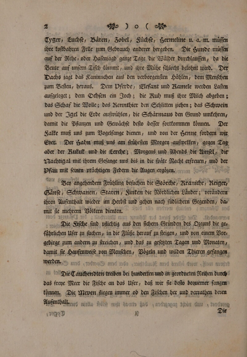 Tyger, Luchſe, Bären, Zobel, Fuͤchſe, Hermeline u. a. m. müffen ihre koſtbahren Felle zum Gebrauch anderer hergeben. Die Zunde muͤſſen auf der Rehe⸗ oder Haſenjagd ganze Tage die Wälder durchlauffen, da die Beute auf unſern Tiſch kömmt und ihre Muͤhe ſchlecht belohnt wird. Der Dachs jagt das Kaninnchen aus den verborgenſten Hoͤhlen, dem Menſchen zum Beſten, heraus. Dem Pferde, Elefant und Kamele werden Laſten aufgeleget; dem Ochſen ein Joch; die Kuh muß ihre Milch abgeben; das Schaf die Wolle; das Rennthier den Schlitten ziehen; das Schwein und der Igel die Erde aufwuͤhlen, die Schaͤrmaus den Grund umkehren, damit die Wangen und Gewaͤchſe deſto beſſer fortkommen koͤnnen. Der Falke muß uns zum Vogelfange dienen, und von der Zenne fordern wir Eyer. Der Zahn muß uns am fruͤheſten Morgen aufwekken, gegen Tag aber der Kukur und die Lerche; Morgens und Abends die Amſel/ die Nachtigal mit ihrem Geſange uns bis in die ſpaͤte Nacht erfreuen, und der Dr mit feinen» prächtigen: Federn die Augen ergözen. „ | Arc Bey angehendem Fruͤhling beſuchen die Stoͤrche / Rraniche / Reigen, Gaͤnſe Schwanen, Staren / Finken die Noͤrdlichen Laͤnder; veraͤndern ihren Aufenthalt wieder im Herbſt und gehen nach ſüolchert Gegenden, da⸗ unt f e mehrern Völkern dienten. Die Sifche, ‚find ‚pfichtig aus den f chern Gründen des Olen de gt fäpefihen Ufer zu füchen, in die Fluße herauf zu ſteigen, und von einem Vor⸗ gebirge zum andern zu ſtreichen, und das zu geſetzten Tagen und Monaten, | damit fie, Haufenweiſe von Macke, Vögeln und wilden Thieren gefangen werden. 008 8 1 W 8 422 Die Tauchendten treiben bei baader und in Neowdben Reben durch das freye Meer die Fiſche an das Ufer, daß wir fie deſto bequemer fangen koͤnnen. 5 We ſliegen immer ob den Fiſchen her und perrathen deren Aufenthalt. ran m eee n een eee en eee d K Die