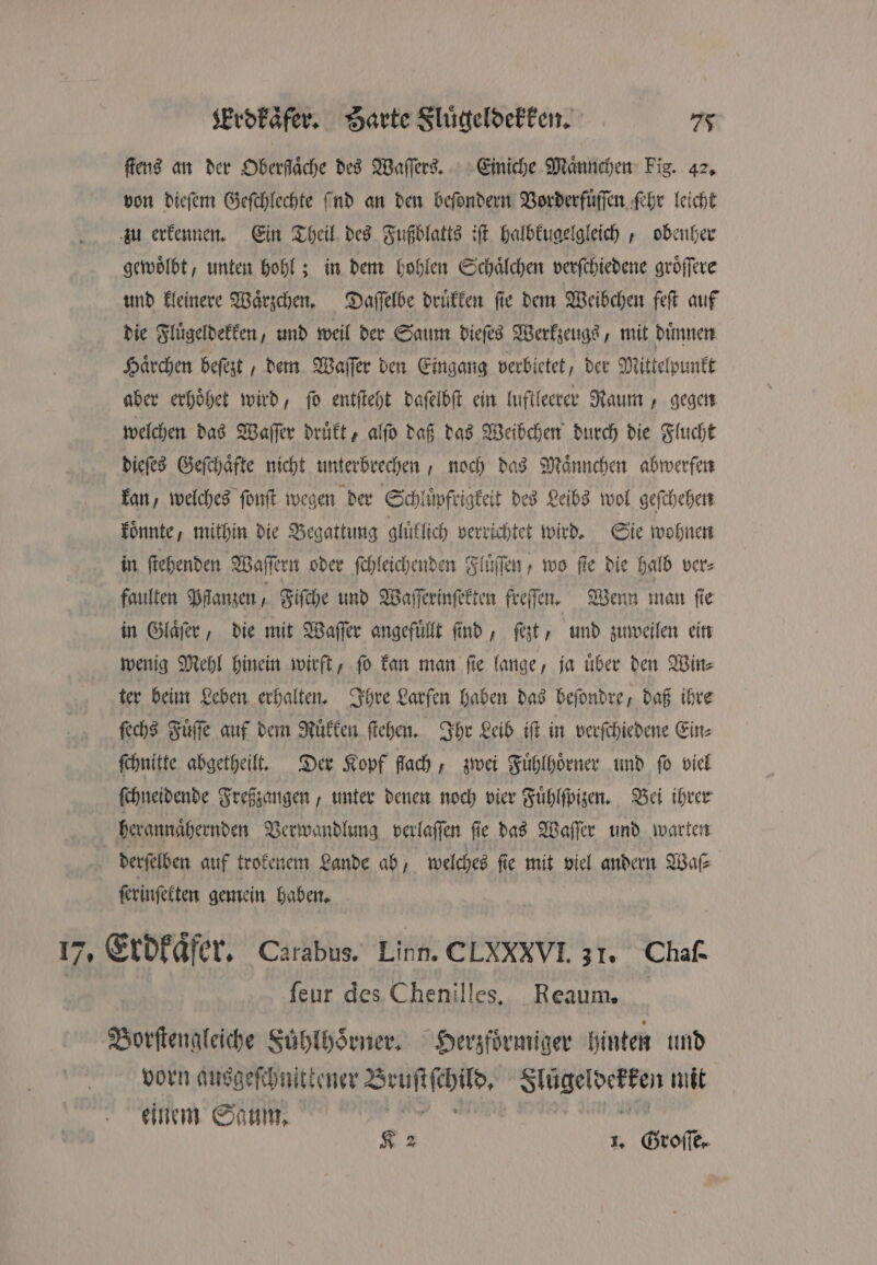 ſtens an der Oberfläche des Waſſers. Einiche Maͤnnchen Fig. 42. von dieſem Geſchlechte ind an den beſondern Vorderfuͤſſen ſehr leicht zu erkennen. Ein Theil des Fußblatts iſt halbkugelgleich, obenher gewoͤlbt, unten hohl; in dem hohlen Schaͤlchen verſchiedene groͤſſere und kleinere Waͤrzchen. Daſſelbe druͤkken ſie dem Weibchen feſt auf die Fluͤgeldekken, und weil der Saum dieſes Werkzeugs , mit duͤnnen Haͤrchen beſezt, dem Waſſer den Eingang verbietet, der Mittelpunkt aber erhoͤhet wird, ſo entſteht daſelbſt ein luftleerer Raum, gegen welchen das Waſſer druͤkt, alſo daß das Weibchen durch die Flucht dieſes Geſchaͤfte nicht unterbrechen, noch das Maͤnnchen abwerfen kan, welches ſonſt wegen der Schluͤpfrigkeit des Leibs wol geſchehen koͤnnte, mithin die Begattung gluͤklich verrichtet wird. Sie wohnen in ſtehenden Waſſern oder ſchleichenden Fluͤſſen, wo fle die halb ver⸗ faulten Pflanzen, Fiſche und Waſſerinſekten freſſen. Wenn man ſie in Glaͤſer, die mit Waſſer angefuͤllt ſind, ſezt, und zuweilen ein wenig Mehl hinein wirft, ſo kan man ſie lange, ja uͤber den Win⸗ ter beim Leben erhalten. Ihre Larfen haben das beſondre, daß ihre ſechs Fuͤſſe auf dem Ruͤkken ſtehen. Ihr Leib iſt in verſchiedene Ein⸗ ſchnitte abgetheilt. Der Kopf flach, zwei Fuͤhlhoͤrner und fo viel ſchneidende Freßzangen, unter denen noch vier Fuͤhlſpizen. Bei ihrer herannaͤhernden Verwandlung verlaſſen ſie das Waſſer und warten derſelben auf trokenem Lande ab, welches fie mit viel andern Waſ⸗ ſerinſekten gemein haben. 17, Erdkaͤfer. Carabus. Linn. CLXXXVI. 31. Chaf | feur des Chenilles. Reaum. | Borſtengleiche Fuͤhlhoͤrner. Herzfoͤrmiger hinten und vorn ausgeſchnittener a be mit einem Saum. =