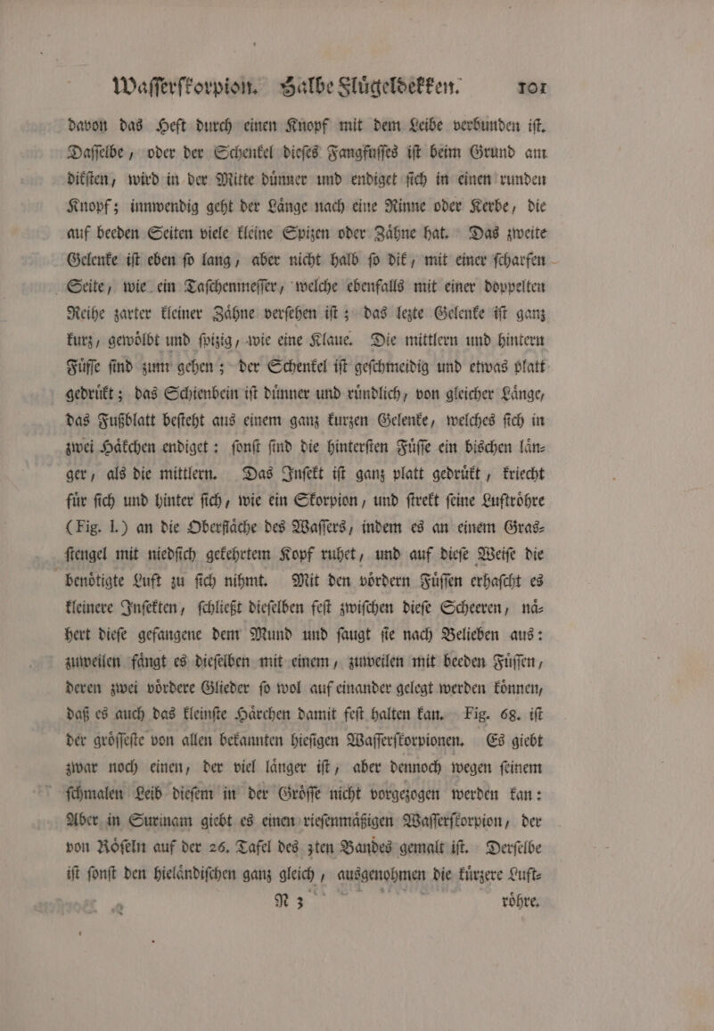 davon das Heft durch einen Knopf mit dem Leibe verbunden iſt. Daſſelbe, oder der Schenkel dieſes Fangfuſſes iſt beim Grund am dikſten, wird in der Mitte duͤnner und endiget ſich in einen runden Knopf; innwendig geht der Laͤnge nach eine Rinne oder Kerbe, die auf beeden Seiten viele kleine Spizen oder Zaͤhne hat. Das zweite Gelenke iſt eben ſo lang, aber nicht halb ſo dik, mit einer ſcharfen Seite, wie ein Taſchenmeſſer, welche ebenfalls mit einer doppelten Reihe zarter kleiner Zaͤhne verſehen iſt; das lezte Gelenke iſt ganz kurz, gewoͤlbt und ſpizig, wie eine Klaue. Die mittlern und hintern Fuͤſſe ſind zum gehen; der Schenkel iſt geſchmeidig und etwas platt gedruͤkt; das Schienbein iſt Dimmer und ruͤndlich, von gleicher Länge, das Fußblatt beſteht aus einem ganz kurzen Gelenke, welches ſich in zwei Haͤkchen endiget: ſonſt ſind die hinterſten Fuͤſſe ein bischen laͤn⸗ ger, als die mittlern. Das Inſekt iſt ganz platt gedruͤkt, kriecht für ſich und hinter ſich, wie ein Skorpion, und ſtrekt feine Luftroͤhre (Fig. 1.) an die Oberfläche des Waſſers, indem es an einem Gras⸗ ſtengel mit niedſich gekehrtem Kopf ruhet, und auf dieſe Weiſe die benötigte Luft zu ſich nihmt. Mit den voͤrdern Fuͤſſen erhaſcht es kleinere Inſekten, ſchließt dieſelben feſt zwiſchen dieſe Scheeren, naͤ⸗ hert dieſe gefangene dem Mund und ſaugt ſie nach Belieben aus: zuweilen fängt es dieſelben mit einem, zuweilen mit beeden Füffen, deren zwei voͤrdere Glieder ſo wol auf einander gelegt werden koͤnnen, daß es auch das kleinſte Haͤrchen damit feſt halten kan. Fig. 68. iſt der groͤſſeſte von allen bekannten hieſigen Wafferfiorpionen, Es giebt zwar noch einen, der viel laͤnger iſt, aber dennoch wegen ſeinem ſchmalen Leib dieſem in der Groͤſſe nicht vorgezogen werden kan: Aber in Surinam giebt es einen rieſenmaͤßigen Waſſerſtorpion, der von Röſeln auf der 26. Tafel des zten Bandes gemalt iſt. Derſelbe iſt ſonſt den hielaͤndiſchen ganz gleich, ausgenohmen die kuͤrzere Luft: | 3 vroͤhre. 2 0