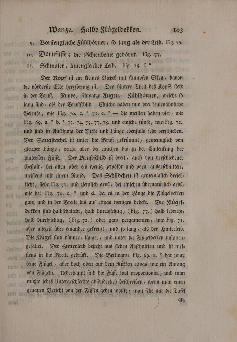 9. Borſtengleiche Fuͤhlhoͤrner, fo lang als der Leib. Fig. 76. 10. Dornfuͤſſe; die Schienbeine gedoͤrnt. Fig. 77. 11. Schmaler, liniengleicher Leib. Fig. 78. f.“ Der Kopf iſt ein kleines Vierek mit ſtumpfen Ekken, davon die voͤrderſte Ekke herzfoͤrmig iſt. Der hintere Theil des Kopfs ſtekt in der Bruſt. Runde, ſchwarze Augen. Fuͤhlhoͤrner, welche ſo lang ſind, als der Bruſtſchild. Einiche haben nur drei keulenaͤhnliche Gelenke, wie Fig. 70. c. * 71. e. * — die meiſten haben vier, wie Fig. 69. a. b. 73. 74. 75. 77. 78. und einiche fünfe, wie Fig. 72. und find in Anſehung der Dikke und Länge ebenfalls ſehr verſchieden. Der Saugſtachel iſt unter die Bruſt gekruͤmmt, gemeiniglich von gleicher Laͤnge, reicht aber bei einichen bis zu der Einlenkung der hinterſten Fuͤſſe. Der Bruſtſchild iſt breit, auch von verſchiedener Geſtalt, bei allen aber ein wenig gewoͤlbt und vorn ausgeſchnitten, meiſtens mit einem Rand. Das Schildchen iſt gemeiniglich dreiek⸗ kicht, ſiehe Fig. 77. und ziemlich groß, bei einichen uͤbernatuͤrlich groß, wie bei Fig. 70. c. * und d. da es in der Laͤnge die Fluͤgeldekken ganz und in der Breite bis auf etwas weniges bedekt. Die Fluͤgel⸗ dekken ſind halbſchalicht, halb durchſichtig, (Fig. 77.) halb ledricht, halb durchſichtig, (Fig. 72.) oder ganz pergamenten, wie Fig. 71. aber allezeit über einander gekreuzt, und ſo lang, als der Hinterleib. Die Fluͤgel find Dinner, laͤnger, und unter die Fluͤgeldekken zuſamen⸗ gefaltet. Der Sinterleib beſteht aus ſieben Abſchnitten und iſt mei⸗ ſtens in die Breite gedrüft.,. Die Bettwanze Fig. 69. a. hat zwar 5 keine Fluͤgel, aber doch oben auf dem Ruͤkken etwas wie ein Anfang von Flügeln. Ueberhaupt find die Fuͤſſe wol proportionirt, und man ‚müßte jedes Untergeſchlechte abſonderlich beſchreiben, wenn man einen genauen Bericht von den Fuͤſſen geben wollte; man ſehe nur die Tafel 5 an.
