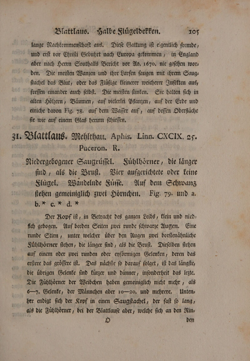 lange Nachkommenſchaft aus. Dieſe Gattung iſt eigentlich fremde, und erſt vor Chriſti Gebuhrt nach Europa gekommen, in England aber nach Herrn Southalls Bericht vor Ao. 1670. nie geſehen wor⸗ den. Die meiſten Wanzen und ihre Larfen ſaugen mit ihrem Saug⸗ ſtachel das Blut, oder das Fluͤßige kleinerer weicherer Inſekten aus, freſſen einander auch ſelbſt. Die meiſten ſtinken. Sie halten ſich in alten Hoͤlzern, Baͤumen, auf vielerlei Pflanzen, auf der Erde und einiche davon Fig. 78. auf dem Waſſer auf, auf deſſen Oberfläche ſie wie auf einem Glas herum ſchieſſen. 31. Blattlaus. Mehlthau. Aphis. Linn. CXCIX. 2. Puceron. R. Niedergebogener Saugruͤſſel. Fuͤhlhoͤrner, die laͤnger ſind, als die Bruſt. Vier aufgerichtete oder keine Fluͤgel. Wandelnde Fuͤſſe. Auf dem Schwanz ſtehen gemeiniglich zwei Hoͤrnchen. Fig. 79. und a. B cen | Der Kopf iſt, in Betracht des ganzen Leibe klein und nied⸗ ſich gebogen. Auf beeden Seiten zwei runde ſchwarze Augen. Eine runde Stirn, unter welcher uͤber den Augen zwei borſtenaͤhnliche Fuͤhlhoͤrner ſtehen, die länger find, als die Bruſt. Dieſelben ſtehen auf einem oder zwei runden oder eyfoͤrmigen Gelenken, deren das erſtere das groͤſſere iſt. Das naͤchſte fo darauf folget, iſt das laͤngſte, die uͤbrigen Gelenke ſind kuͤrzer und duͤnner, inſonderheit das lezte. Die Fuͤhlhoͤrner der Weibchen haben gemeiniglich nicht mehr, als 6—7. Gelenke, der Männchen aber 10—20, und mehrere. Unten⸗ her endigt ſich der Kopf in einen Saugſtachel, der faſt ſo lang, als die Fuͤhlhoͤrner, bei der Blattlauſe aber, welche ſich an den Rin⸗ | O den