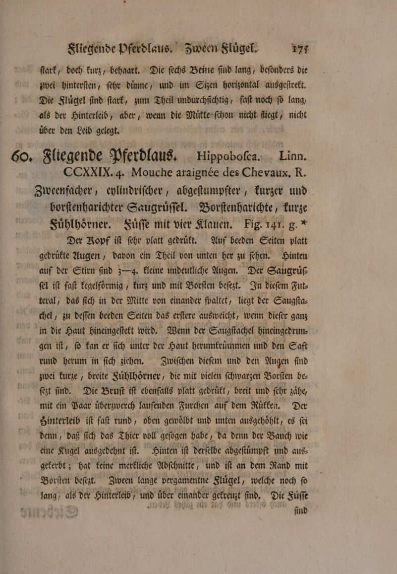 ſtark, doch kurz, behaart. Die ſechs Beine ſind lang, beſonders die zwei hinterſten, ſehr duͤnne, und im Sizen horizontal ausgeſtrekt. Die Fluͤgel find ſtark, zum Theil undurchſichtig , faſt noch ſo lang, als der Hinterleib, aber, wenn die 80 00 ſchon nicht wett nicht uͤber den Leib gelegt. „Fliegende Pferdlaus. Hippoboſca. Linn. CCXXIX. 4. Mouche araignee des Chevaux. R. Zweenfacher, eylindriſcher, abgeſtumpfter, kurzer und borſtenharichter Saugruͤſſel. Borſtenharichte, kurze Suͤhlhoͤrner. Fuͤſſe mit vier Klauen. Fig. 141. g. * Der Bopf iſt ſehr platt gedruͤkt. Auf beeden Seiten platt gedrükte Augen, davon ein Theil von unten her zu ſehen. Hinten auf der Stirn find 34. kleine undeutliche Augen. Der Saugrüf ſel iſt faſt kegelfoͤrmig, kurz und mit Borſten beſezt. In dieſem Fut⸗ teral, das ſich in der Mitte von einander ſpaltet, liegt der Saugſta⸗ chel, zu deſſen beeden Seiten das erſtere ausweicht, wenn dieſer ganz in die Haut hineingeſtekt wird. Wenn der Saugſtachel hineingedrun⸗ | gen iſt, ſo kan er ſich unter der Haut herumkrümmen und den Saft rund herum in ſich ziehen. Zwiſchen dieſem und den Augen fi ſind zwei kurze, breite Fuͤhlhoͤrner, die mit vielen ſchwarzen Borſten be⸗ ſezt ſind. Die Bruſt iſt ebenfalls platt gedrükt/ breit und feht zaͤhe, mit ein Paar uͤberzwerch laufenden Furchen auf dem Rükken. Der Hinterleib iſt faſt rund, oben gewoͤlbt und unten ausgehoͤhlt, es ſei denn, daß ſi ch das Thier voll geſogen habe 1 da denn der Bauch wie eine Kugel ausgedehnt iſt. Hinten ift derſelbe abgeſtümpft und aus⸗ gekerbt; hat keine merkliche Abſchnitte und if an dem Rand mit Borſten beſezt. Zween lange pergamentne Sluͤgel, welche noch ſo un ws der Hinterleib, und über einander 1 f ind. 2 Fuͤſſe | sad ee