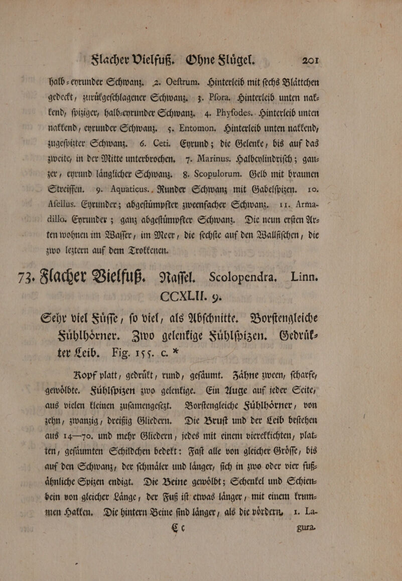 Flacher Vielfuß. Ohne Sluͤgel. 20 halb⸗eyrunder Schwanz. 2. Oeſtrum. Hinterleib mit ſechs Blaͤttchen gedeckt, zuruͤkgeſchlagener Schwanz. 3. Plora. Hinterleib unten nak⸗ kend, ſpiziger, halb⸗eyrunder Schwanz. 4. Phyſodes. Hinterleib unten nakkend, eyrunder Schwanz. 3. Entomon. Hinterleib unten nakkend, zugeſpizter Schwanz. 6. Ceti. Eyrund; die Gelenke, bis auf das zweite, in der Mitte unterbrochen. 7. Marinus. Halbcylindriſch; gan⸗ zer, eyrund laͤnglicher Schwanz. 8. Scopulorum. Gelb mit braunen Streiffen. 9. Aquaticus. Runder Schwanz mit Gabelſpizen. o. Afellus. Eyrunder; abgeſtuͤmpfter zweenfacher Schwanz. II. Arma- dillo. Eyrunder; ganz abgeſtuͤmpfter Schwanz. Die neun erſten Ar⸗ ten wohnen im Waſſer, im Meer, die ſechſte auf den Wallfiſchen, die zwo leztern auf dem Trokkenen. 73. Flacher Vielfuß. Naſſel. Scolopendra. Linn. Sehr viel Fuͤſſe, ſo viel, als Abſchnitte. Borſtengleiche Fuͤhlhoͤrner. Zwo gelenkige Fuͤhlſpizen. Gedruͤk⸗ ter Leib. Fig. 155. c. * Kopf platt, gedruͤkt, rund, geſaͤumt. Zähne zween, ſcharfe, gewoͤlbte. Fühlſpizen zwo gelenkige. Ein Auge auf jeder Seite, aus vielen kleinen zuſamengeſezt. Borſtengleiche Fuͤhlhoͤrner, von zehn, zwanzig / dreißig Gliedern. Die Bruſt und der Leib beſtehen aus 14—70, und mehr Gliedern, jedes mit einem vierekkichten, plat⸗ ten, geſuͤumten Schildchen bedekt: Faſt alle von gleicher Groͤſſe, bis auf den Schwanz / der ſchmaͤler und länger, ſich in zwo oder vier fuß⸗ aͤhnliche Spizen endigt. Die Beine gewoͤlbt; Schenkel und Schien⸗ bein von gleicher Länge, der Fuß iſt etwas laͤnger mit einem krum⸗ men Hakken. Die hintern Beine find laͤnger, als die voͤrdern. 1. La- Ce gura.