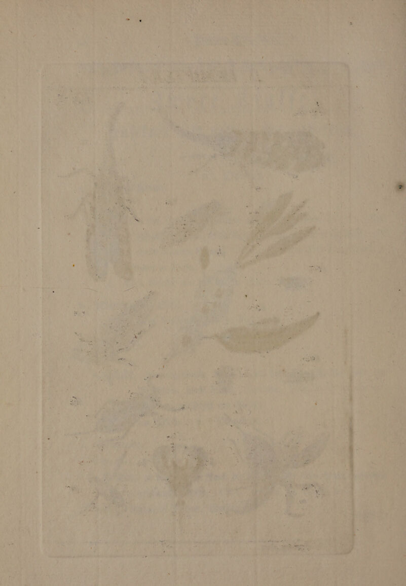 di N „ ie I MEN \ N RE SATTE rl RT NE * 5 F RT re 9 ins ur A — ar N 1 IE: ar . . 7 A f 9 2 5 7 5 14 r 1 De * 1 *