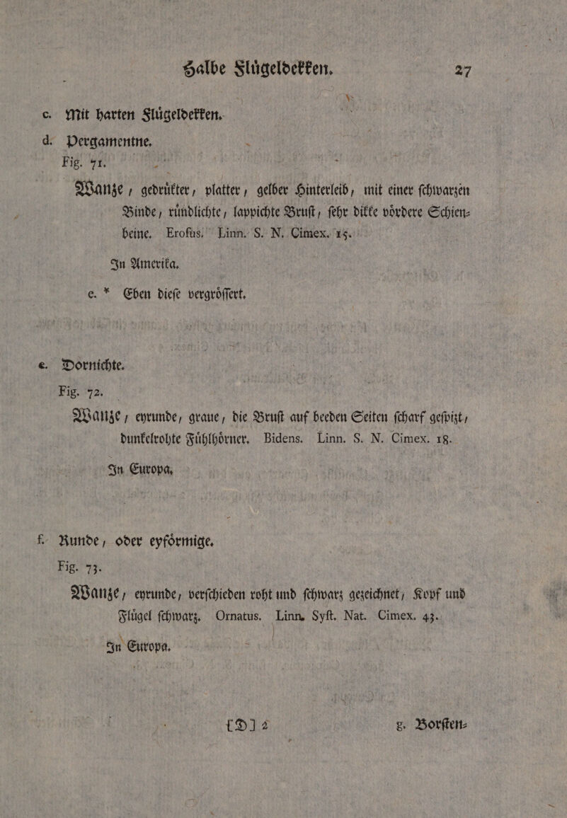 c. Mit harten Fluͤgeldekken. 0 d. Pergamentne. Fig. 71. 7 5 | Wanze, gedruͤkter, platter, gelber Hinterleib, mit einer ſchwarzen Binde, ruͤndlichte, lappichte Bruſt, ſehr dikke voͤrdere Schien⸗ beine. Erofus. Linn. S. N. Cimex. 15. * In Amerika. e. * Eben diefe vergröffert, e. Dornichte. Be. | Wanze, eyrunde, graue, die Bruſt auf beeden Seiten ſcharf geſpizt, dunkelrohte Fuͤhlhoͤrner. Bidens. Linn. S. N. Cimex. 18. er In Europa, f. Runde, oder eyfoͤrmige. Fig. | Wanze, eyrunde, verfchieden roht und ſchwarz gezeichnet, Kopf und Fluͤgel ſchwarz. Ornatus. ui Syft. Nat. Cimex. 43. | 3 In Europa. LD 2 g. Borſten⸗