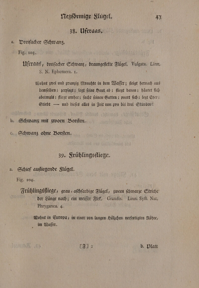 Nesformige Slügel. #3 | 38. Uferaas. a. Dreifacher Schwanz. Fig. 103. Uferaas, dreifacher Schwanz, braungeflefte Fluͤgel. Vulgata. Linn S. N. Ephemera. 1. \ Wohnt zwei und zwanzig Monahte in dem Waſſer; ſteigt hernach aus demſelben; zerplazt; legt feine Haut. ab; fliegt davon; haͤutet ſich abermals; fliegt umher; ſucht ſeinen Gatten; paart ſich; legt Eher; Stirbt — und dieſes alles in Zeit von zwo bis drei Stunden! b. Schwanz mit zwoen Borſten. c Schwanz ohne Borſten. 39. Fruͤhlingsfliege. a. Schief aufliegende Fluͤgel. Fig. 104. Fruͤhlingsfliege, grau = aſchfarbige Flügel, zween ſchwarze Striche der Lange nach; ein weiſſer Flek. Grandis. Linn. Syſt. Nat, Phryganea. 4. Wohnt in Europa, in einer von langen Hoͤlzchen verfertigten Röhre, im Waſſer. LF 2 b. Platt
