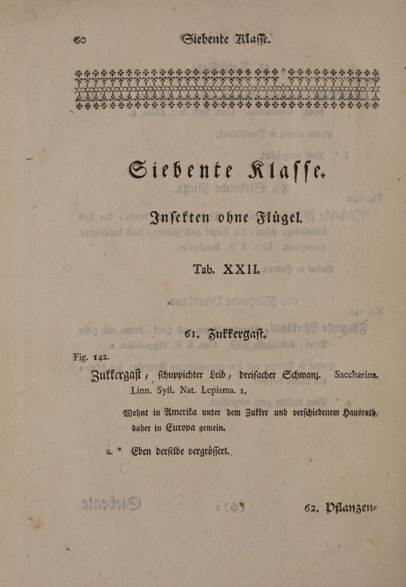 1 rn Fr . r . . a ae L / // ß Siebente Klaſſe. Inſekten ohne Fluͤgel. Tab. XXII. 61. Zukkergaſt. Fig. 142. Zukkergaſt 4 ſchuppichter Leib, dreifacher Schwanz. Saccharina. Linn. Syſt. Nat. Lepisma. 1. Wohnt in Amerika unter dem Zukker und verſchiedenem Hausrath, daher in Europa gemein. a. Eben derſelbe vergroͤſſert. L 62. Pflanzen⸗