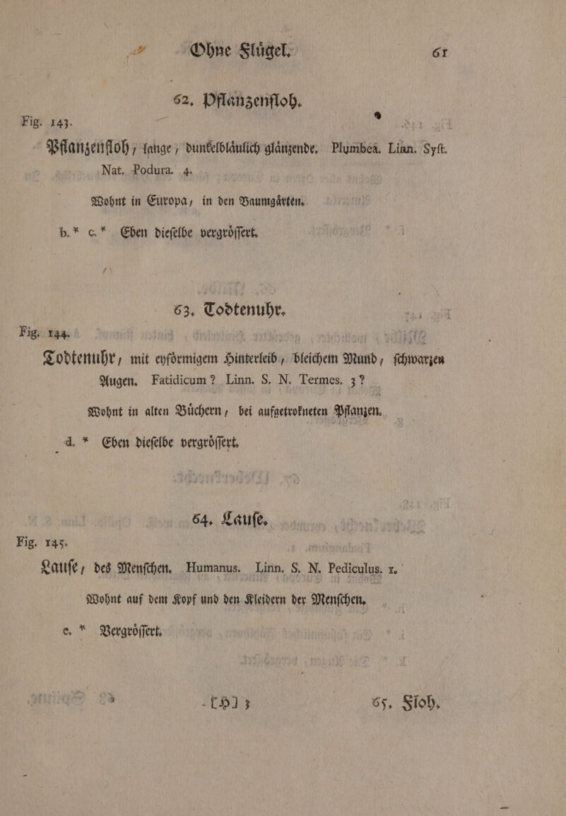 52. Dflanzenfloh. Fig. 143. ia 9 Pflanzenfloh, lange, dunkelblaͤulich glänzende, Plymbeä. Lian. Syft. Nat. Podura. 4. Wohnt in Europa, in den Baumgaͤrten. b. * C. Eben dieſelbe vergröſſert. 63. Todtenuhr. Fig. 144. | 10 ite Todtenuhr, mit eyfoͤrmigem Hinterleib, bleichem Mund, ſchwarzen Augen. Fatidicum ? Linn. S. N. Termes. 32 Wohnt in alten Buͤchern, bei aufgetrokneten Pflanzen. d. * Eben dieſelbe vergroͤſſert. 64. Lauſe. Fig. 143. | Lauſe, des Menſchen. Humanus. Linn. NEN Pediculus. Lo Wohnt auf dem Kopf und den Kleidern der Menſchen. e.“ Vergroͤſſert.