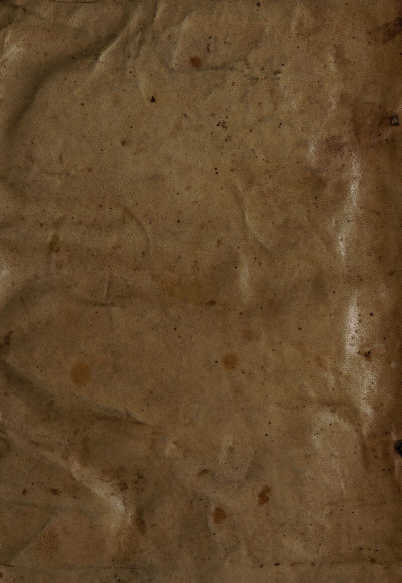 ES '