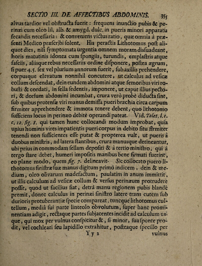 alvus tardior vel ofaftruda fuerit: frequens inundio pubis & pe¬ rinaei cum oleo lil* alb. & amygd. dulc. in pueris minori apparatu fecandis ncceflaria: & conveniens vidusratio, quae omnia a prae- fenti Medico praefcrjbi folent. His peradis Lithotomus poft ali¬ quot dies, nili fymptomata urgentia omnem moram disfuadeant, horis matutinis idonea cumfpongiis, turundis, emplaftrisatque fafeiis, aliisque rebus neceffariis ordine difponere, poftea aegrum, fi puer 4.5. fex vel plurium annorum fuerit, fub axillis prehendere, corpusque elevatum nonnihil concutere, ut Calculus ad veficae collum defeendat, dein eundem abdomini atque femoribus viri ro- bufli & cordati, in fella fedentis, imponere, ut caput illius pedo¬ ri, & dorfum abdomini incumbat, crura vero prob<Ydidudafint, fub quibus protenfse viri manus demiffa pueri brachia circa carpum firmiter apprehendere & immota tenere debent, quo lithotomo fufficiens locus in perinaeo debite operandi pateat. Vid. Tolet. I. c. c, 12. fig, 8. qui tamen hunc collocandi modum improbat, quia unius hominis vires impatientis pueri corpus in debito fitu firmiter tenendi non fufficientes efle putat & propterea vult, ut pueris a duobus miniftris, ad latera flantibus, crura manusque detineantur, ubi prius in commodam feliam depoliti & a tertio miniftro, qui a tergo ftare debet, humeri impolitis manibus bene firmati fuerint, eo plane modo, quem fig. 7. delineavit- Recollocato puero li¬ thotomus finiftrae fuae manus digitum primo indicem , dein & me¬ dium , oleo olivarum madefadum, paulatim in anum immittit, ut illis calculum ad veficae collum & verfus perinaeum protrudere polfit, quod ut facilius fiat, detra manu regionem pubis blande premit, donec calculus in perinaei finiftro latere trans cutem fub durioris protuberantia* fpecie comparcat. tuneque lithotomus cul¬ tellum , media fui parte linteolo obvolutum, fuper hanc promi¬ nentiam adigit, redaque partes fubjacentes incidit ad calculum us¬ que, qui mox per vulnus confpicitur & , fi minor, fuafponte pro¬ dit, vel cochleari feu lapidillo extrahitur, pofteaque fpecillo per Y y 2 vulnus