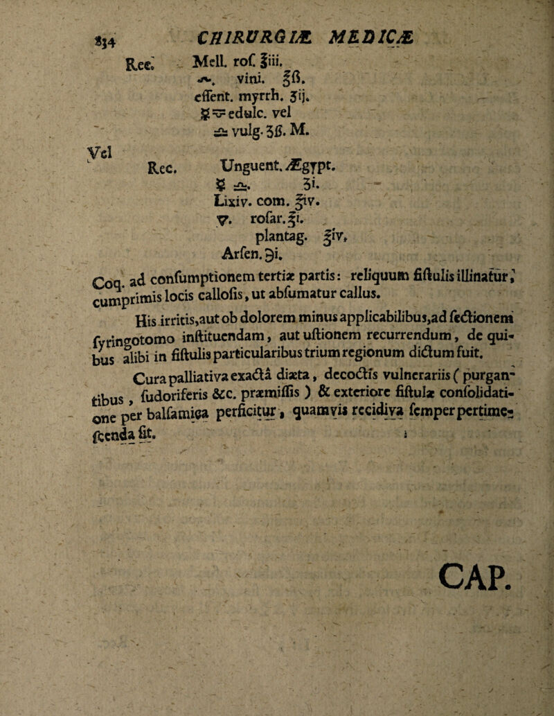 CHIRURGIA MEDICA Meli, rof fiii. j»-. vini. ffi. cflent. myrrh. Jij. g =v= edule, vel £s vulg- 3C- M. Unguent. /Egypc. g 5>- Lixiv. com. §iv. y. rofar.fi. , plantag. Jiv» Arfen. 9i. Coq ad confumptionem terti* partis: reliquum fiflulis illinatur 1 cumprimis locis callofis, ut abfumatur callus. His.irritis,aut ob dolorem minus applicabilibus,ad fedionem fvringotomo inftituendam, aut uftionem recurrendum, de qui¬ bus alibi in fiftulis particularibus trium regionum di&umfuit. Cura mlliativa exa<fta diaeta, decoctis vulnerariis ( purgatr* tibus, fudoriferis &CC. praemiffis ) & exteriore fiftul* confolidati- one per balfamica perficitur, quam vi* recidiva femper pertime- fccnda fit. s CAP.