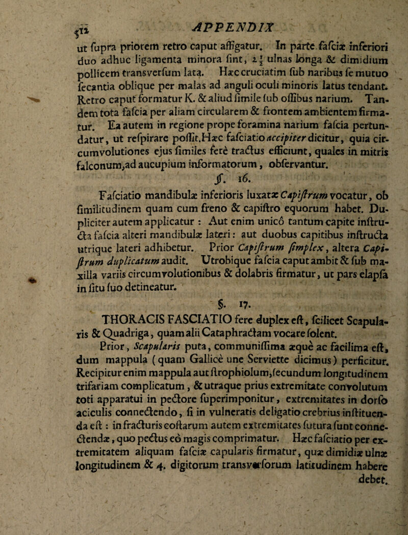 * i ' ^ ' r J — * ‘ ’ '  ut fupra priorem retro caput affigatur. In parte fafcix inferiori duo adhuc ligamenta minora fint, i| ulnas longa & dimidium pollicem trans verfum lata. Hac cruciatim (ufa naribus fe mutuo fecantia oblique per malas ad anguli oculi minoris latus tendant. Retro caput formatur K. & aliud iimile lub oflibus narium. Tan¬ dem tota fafeia per aliam circularem & frontem ambientem firma¬ tur. Ea autem in regione prope foramina narium fafeia pertun¬ datur, ut rcfpirare poffk.Haec {afciatioaccipiterdicitur, quia cir¬ cumvolutiones ejus fimiles fere tradtus efficiunt, quales in mitris falconum,ad aucupium informatorum, obfervantur. jf. 16. \ Fafciatio mandibulae inferioris luxatxCdpiJlrum vocatur, ob fimiiitudinem quam cum freno & capiftro equorum habet. Du¬ pliciter autem applicatur : Aut enim unico tantum capite inftru- &a fafeia alteri mandibulae lateri: aut duobus capitibus rnftrudta utrique lateri adhibetur. Prior Capiftrum /implex, altera Capi- jlrum duplicatum audit. Utrobique fafeia caput ambit & fub ma¬ xilla variis circumvolutionibus & dolabris firmatur, ut pars elapla in litu luo detineatur. §• i?. THORACIS FASCIAT IO fere duplex eft, fcilicct Scapula¬ ris &Quadriga, quam alii Cataphradtam vocare folent. Prior, ScApuUrts puta, communiffima aeque ac facilima eft, dum mappula (quam Gallice une Serviette dicimus ) perficitur. Recipitur enim mappula aut ftrophiolum,fecundum longitudinem trifariam complicatum, & utraque prius extremitate con volutum toti apparatui in pedlore fuperimponitur, extremitates in dorfo aciculis conne&endo, fi in vulneratis deligatio crebrius inftituen- da eft : infratSuriseoftarum autem extremkates futura funteonne- (ftendae, quo pexftus eo magis comprimatur. Haec fafciatio per ex¬ tremitatem aliquam fafeiae capularis firmatur, quae dimidiae ulnx longitudinem & 4. digitorum transv«rforum latitudinem habere debet.