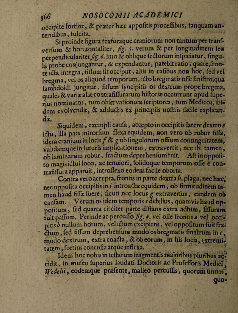 occipite fortior, & praeter haec appofitisprocelfibus, tanguam an¬ teridibus, fulcit*. Si proinde figura texturaque craniorum non tantum per tranf- yerfum &c horizontaliter, fig. s- verum & per longitudinem feu perpendiculariterfig. 6. imo Sc oblique fedorum infpiciatur, fingu- la probe conjungantur, & expendantur, patebit ratio, quare,fron¬ te ida integra, filium fit occiput, aliis in cafibus non hoc , fed vel bregma, vel os aliquod temporum; idobregmatisoffe finiftro,qua lambdoidi jungitur, filium fyncipitis os dextrum prope bregma, quales & vari* aliae contrafiffurarum hiftoriae occurrunt apud fiipe- rius nominatos, tum obfervationuna fcriptores, tum Medicos, ibi¬ dem evolvenda:, & addudis ex principiis noftris facile explican¬ dae, ■ _ \ .i.'  f- Siquidem , exempli caufa, accepto in occipitis latere dextro# jdu, illa pars ihtrorfum flexa equidem, non yero ob robur fiffa, idem cranium in locis/ 8c g ob (jugulorum offium continguitatem, yalidamque in luturis implicationem, extrayertit, nec ibi tamen, ob laminarum robur, fra&um deprehenfium fuit. Aft in oppofi- to magis idui loco, ac tenuiori, folidoque temporum offe e con- trafiffura apparuit, introflexo eodem facile oborta. Contra vero accepta, frontis in parte dextra h, plaga, nec hac, necoppofica occipitis in/ introada equidem, ob firmitudinem ta¬ men haud fiflse fuere, ficuti nec Jocus g extraverfus , eandem ob caufam. Verum os idem temporis /debilius, quamvis haud op- poiitum, fed quarta circiter parte diftans extra adum, fiffuram fuit paffum. Perinde ac percuffo/g. /. vel ofle fron tis a vel occi¬ pitis b nullum horum, vel idum excipiens, vel oppofitum fuitfra- durr», fed fidam deprehenium modo os bregmatis finiftrum in r, modo dextrum, extra coada, & ob eorum, in his locis, extremi¬ tatem, fortius concufla atque inflexa. Idem hoc nobis in teftarum fragmentis majoribus pluribus ac¬ cidit, in tnufeo luperius laudati Dodoris ac Profcfforis Medici,, Weddii, eodemque praefente, malleo percuffis, quorum Unum , gUO-