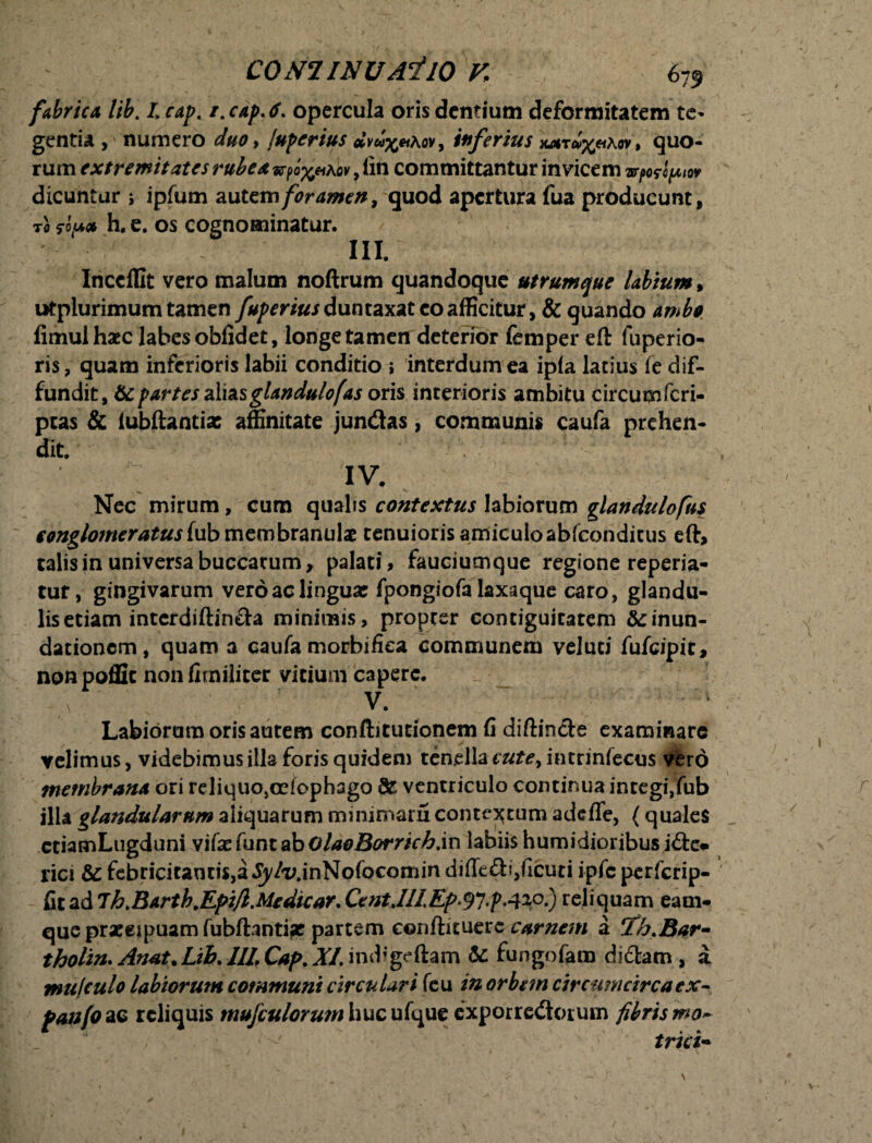 fabrica lib. Lcap. r.cap.tf. opercula oris dentium deformitatem te* gentia , numero duo, jupcrius *Wx«Aov, inferius x^t^«aov, quo¬ rum extremitates rubea aok , lin committantur invicem vpwfMw dicuntur j ipfum autem foramen, quod apertura fua producunt, to foiA* h. e. os cognominatur. III. Inceffit vero malum noftrum quandoque utrumque labium, utplurimum tamen fuperius duntzxzt eo afficitur, & quando ambo fimul haec labes oblidet, longe tamen deterior femper eft fuperio- ris, quam inferioris labii conditio ; interdum ea ipla latius Te dif¬ fundit, &cpartes aliasglandulofas oris interioris ambitu circumfcri- ptas & iubftantiac affinitate jundas, communis caufa prehen¬ dit. IV. Nec mirum, cum qualis contextus labiorum glandulofus conglomeratus i\ub membranulae tenuioris amiculo abfcondicus eft, talis in universa buccarum, palati, fauciumque regione reperia- tuf, gingivarum vero ac linguas fpongiofa laxaque caro, glandu¬ lis etiam interdiftinda minimis, propter contiguitatem &:inun¬ dationem, quam a caufa morbifiea communem veluti fufeipit, nonpoffic non fimiliter vitium capere. V. Labiorum oris autem conftitutionem fi diftinde examinare velimus, videbimus illa foris quidem tenella cute, intrinfecus vero membrana ori reliquOjCciopbago & ventriculo continua integi,fub ilU glandularum aliquarum minimam contectum adefle, (quales etiamLugduni v\(x{\mtabolaoBorrich.\x\ labiis humidioribus ide« rici & febricitantis,a Jy/uinNofocomin difle&i/icuti ipfc perferip- £\ta&7h>BArth.Epi/l.AtedkarXcntJILEp*<!fi.p4%P.) reliquam eam- quepraeeipuamfubftantije partem conftituere carnem a Th.Bar- tholin. Anat*Lih. 1IL Cap. XI. imbgeftam & fungofam didam , a mufculo labiorum communi circulari feu in orbem circumcirca ex- Panfo ac reliquis w^tf/crawhucufqueexporre&orum fibris mo~ triti*