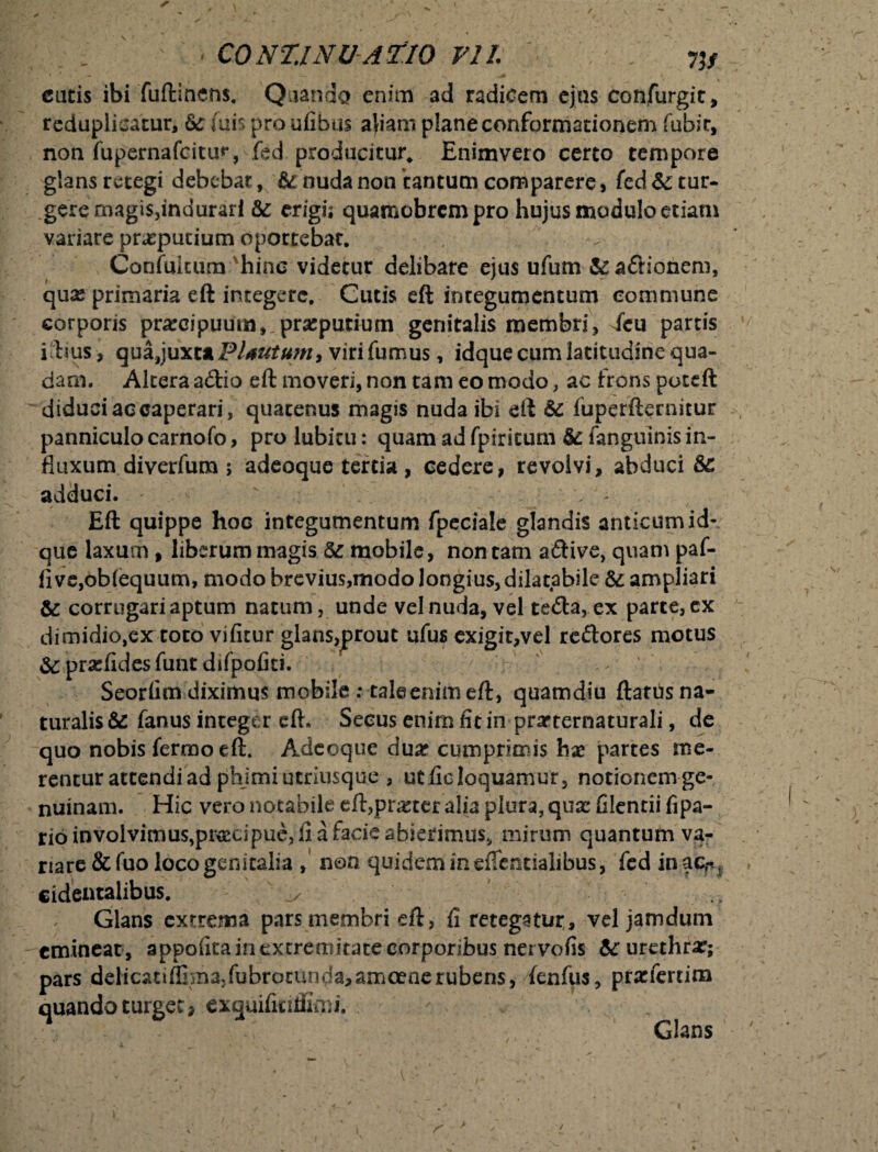 cutis ibi fuftinens. Quando enim ad radicem ejus confurgit, reduplicatur, &c Aiis pro ufibus aliam plane conformationem fubic, non fupernafcitu**, fed producitur* Enimvero certo tempore glans retegi debebat, & nuda non tantum comparere, fed & tur¬ gere magis,indurari & erigfi quamobrcm pro hujus modulo etiam variare prxpurium oportebat. Confukurn 'hinc videtur delibare ejus ufum &a£h*onem, quas primaria eft integere. Cutis eft integumentum commune corporis praecipuum,,praeputium genitalis membri, fcu partis illius, quajuxti Plautum, viri fumus, idque cum latitudine qua¬ dam. Altera a&io eft moveri, non tam eo modo, ac frons poteft diduci ac caperari, quatenus magis nuda ibi eft Sc fuperfternitur panniculo carnofo, pro lubitu: quam ad fpiritum & fanguinis in¬ fluxum diverfum ; adeoque tertia, cedere, revolvi, abduci & adduci. * ' , . , Eft quippe hoc integumentum fpeciale glandis anticum id¬ que laxum , liberum magis & mobile, non tam aftive, quam paf- five,ob(equum, modo brevius,modo longius, dilatabile& ampliari &: corrugari aptum natum, unde vel nuda, vel te<fta, ex parte, cx dimidio,ex toto vifitur glans^rout ufus exigit,vel remores motus &prasftdesfuntdifpofiti. ' Seorfim diximus mobile : tale enim eft, quamdiu ftatus na¬ turalis & fanus integer eft. Secus enim fit in prarternaturali, de quo nobis fermo eft. Adeoque duar cumprimis hx partes me¬ rentur attendi ad phjmiutriusque , ut fic loquamur, notionemge- nuinam. Hic vero notabile eft,prastcr alia plura, qux filentii fipa- rioinvolvimus^r^dpuejliafacieabierimus, mirum quantum va¬ nare &fuo loco genitalia , non quidem in eifentialibus, fed inacr, cidentalibus. ^ Glans extrema pars membri eft, fi retegatur, veljamdum emineat , appofita in extremitate corporibus ner vofis &: urethrar; pars delicatiffim2;fubrotunda,amoeaerubens, fenfus, prarfertim quando turget j exquifidffimi. Glans /