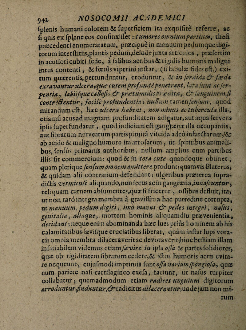 fplcnis humani colorem & fuperficicm ita exquifite referre , ac fi quis ex fpl^enceos confinxiflet: tumores omnium partium, thefl procedenti enumeratarum, precipuein manuum pedumque digi*- torum interftitiis,plantis pedum,deinde juxta articulos, prefertim in acutiori cubiti (ede, a Calibus acribus & rigidis humoris maligni intus contenti, &: foetus viperini inftar, ( fi fabulo fides efh) exi¬ tum quaerentis, pertunduntur, eroduntur, & in foriiida & foeda excavantur ulcera%qu<e cutem profunde penetrant^ lata (uni ac fer- pentia, 'labii(que caUofis & praetumidis Prodita,, &(anguinemfi contrtBentur, facile profundentia> nullum tamen fenjnm;, quod mirandum eft, hoc ulcera habent, non mimis ac tubercula illa<, etiamfi acus ad magnam profunditatem adigatur,aut aqua fervens jpfis Cuperfundatur, quod indicium eft gangrenae illa occupantis, aut fibrarum nprvearum partis pituita vilcida adeo infardarurn,{&2 ab acido Sc maligno humore ita arrofarum, ut fpiritibus animali¬ bus, fenlus primariis authoribus, nullum amplius cum partibus illis fit commercium: quod & in tota cute quandoque obtinet , quam plerique fenfum omnem amittere produncjquamvis Elaterus, ic quidam alii contrarium defendant*, ulceribus prarterea fupra- di&is vermiculi aliquando,non fecus ac in gangrenafnnafcuntur y reliquam carnem abfumentes,quae fi fricetur , ofiibus defluit, ica> ut non raro integra membra a graviflima hac putredine corrupta! ut manuum, pedum digiti, imo manus & pedes integri, nafus, genitalia, aliaque, mortem hominis aliquamdiu praevenientia, decidant \ neque enim abominanda haec lues prius hominem ab his calamitatibus fsevilque cruciatibus liberat, quam inftar lupi vora¬ cis omnia membra dilaceraverit ac devoraverit;hinc beftiam illam infatiabiiem videmus etiamfievire in jpfa offa 5c partes folidiores, qux ob rigiditatem fibrarum cedere,iiftus humoris acris evita¬ re nequeunt, cujufmodiimprimis (untofianarium(pongiofa? quas cum pariete nafi cartilagineo exefa, faciunt, ut nafus turpiter collabatur j quemadmodum etiam radiees unguium digitorum arroduntur findiMtur&xadmi\\$diUcerantur>\aadQ)am non mia¬ rum