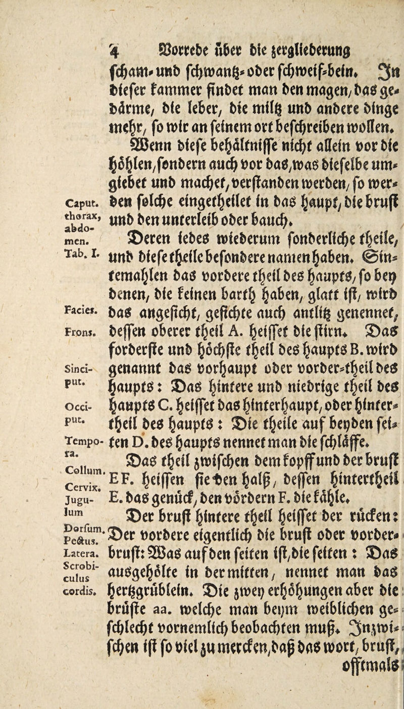Caput. therax, abdo- men« Tab. I. Facief. Frons. Sind- put. Oed« put. Tempo¬ ra. Collum. Cervix. Jugu- lum Porfum. Pe&us. Latera. Scrobi- culus cordis. r4 Slombe übet bie jeralieberung febam* unb fd)toang* ober fd)tpeif*befn. 3« biefer famtnet ftnbef matt ben magen, bag ge. bärme, b(e lebet, bie «tilg unb anbere bittge rneßr, fo wie an feinem ort befdjreiben wollen. SEBenn bfefe beHältniffe nicht allein por bie ^o^lett/fenbern auch bot ba^mas biefelbe um* gfebef unb machet, oerjlanben werben, fo wer* ben folcbe eittger^eilef in bas H«upt, bie brufl unb ben Unterleib ober bauch. ©eren iebeg wteberum fonberlicbe f^eile, unb biefe t^efle befottbere nanten Haben. @in* rentablen bag potbete tHeil begHaupfg,fo bei? benen, bie feinen barth Haben, glatt ifi, ntitb bag angejtcbf, geflehte auch antlifc genennef, bejfen oberer tHeil A. Heiffet bie flitn* ©a$ forberße unb Hodjße t|eil begHaupfgB.wirb genannt bas torfjaupt ober vorber=tbeil beg Hauptg: ©ag Hintere unb niebrige f^etl bes Haupfg C. Heißet bag Hinterhaupt, ober Hinter* tHeil beg Haupfg : 35ie tHeile auf bepben fei* f en D. beg Haupfg nennet man bie fc^tdffc. ©ag tHeil jwifeben bern fopff unb ber brufl EF. Heiffen fteten Half*, beffen E. bag genuef, ben porbern F. bie fdHle. ©er bruß Hintere tHeil Heilfet ber rücfen : ©er Porbere eigentlich bie brufl ober Porber brufl: 2Bag auf ben feiten i(l,bie feiten: ©ag auggeHolfe in ber mitten, nennet man bag Herhgrüblein. ©te jwep erHoHüngett aber bie brüße aa. welche man bepm weiblichen ge* fchledjt PornemlicH beobachten muß* 3njwt* jtchen iß fo oiel ju mercfen,bap bag wort, brufl, oftmals 0