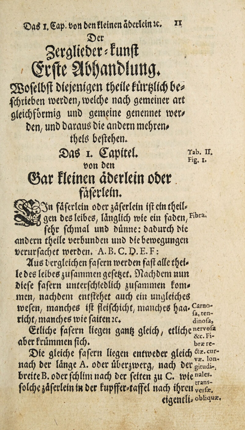 Tab. ir. Fig. I. Qaß i,€ap. Pen ben f leinen abetlehnc. n SDer 3«9lie&£r<funfl (Scjte Ci&!janbluttg. gßofdfcjl Mjmtgen t§e tle Hbi* (Stieben metDen, welche nach gemeiner att gleichförmig unb gemeine genennet roet' ben/ unb baraug bie anbern mehren* tbels hefWjen. SaS i. Kapitel Pott ben ©ar Reinen aberlein ober faferfefn. $n fäfertein ober jöfettein if! eftt tfytt* gen besleibes, Idnglfd) wie ein fabenyFlbra‘ feht fchmal unb burnte: baburd) bie mtbern freite perbunben unb bie Bewegungen Perurfachet werben. A. B. C. D.E.F: 2fus begleichen fafern werben faff alle thef» Ce bee leibes jufammen gefe^ef. 9facf)bem nun bfefe fafern unterfcbfeblfch jufammen tom* men/ nachbem entfielet aud) ein ungleiches wefen, manches ifi fkifchicbt/ manches haa-£ai t\6)ti manches wie fairen tc+ dinofa, Etliche fafern liegen gan§ gleich/ etliche aberfrümmenftch. brse re- SDie gleiche fafern liegen entweber gleich nach ber IdngeA. ober überjwerg, nach ber gftüX breiteB. ober fchlim nach bet feiten ju C. wienales* folchejdferleminber fttpffewafcl nach ihren verfse, . ■ eigentli* obliiiu** Carno- ten-