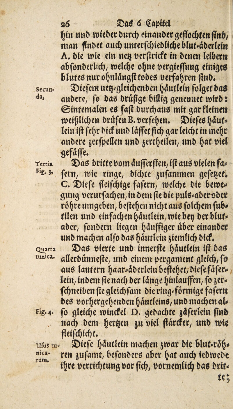Seoul- da* Tertia «fr 5- Quarta tunica. Hg.4- Ufus tu nica- ram. 36 Sa# 6 €aplfel Jjln unb »leberburch etnanber geflochten man flnbct aucbuttfetfcblebllcbeblut>dberlejß A. ble t»le ein nefj »erflrfcft In benen lelbern abfonberltch/ welche ohne »ergleffung einige# Hure« nur ohnldng(t tobe# »erfaßten jtnb« SMefcm nei^glelchenben hdutleln folget ba# anbere/ fo baß brufige billig genennef wirb t ©Internalen e# faji burchau# mit garflefneti weißlichen brüfen B. »erfehen» SDIefe# hduf- lein Ifi feftr btcf unb läffet ftcf> gat leicht In meßf anbete jecfpeflen unb jetthelleu/ unb hat »lei gefdffe* $)a# btltfe »om du(fcr(?ctt/1(1 au# »leien fa- fettt/ wie ringe/ blchte jufdmmen gefe^et* C. 53(efe fleißige fafettt/ welche Me Bewe¬ gung »erurfacßen/ In bem jle bie pulß-abet»bee röhre umgeben/ befielen nicht au# fofdjem fub- tllen unb einfachen hdufletn/ wie bep betbluf- abet/ fonbern liegen häufflger übet elnanbet tmb machen alfo ba# hdurkln ziemlich blcf, 3>a# vierte unb Innerfie hdutleln 1(1 ba# «Jlerbünnefle/ unb einem pergament gleich/ fo au# laufern haar-dberklnbeßehet/btefefafer- lein/ Inbem (te nach bet länge hlnlaujfen/ fo jet- fchnelben (te gleicftfam bte ringförmige fafer» be# »orhergcljenben hdutleln#/ unb machen al¬ fo gleiche wlncfel D. gebachte jd ferkln flnb nach bem herben jn »lei (idrrfet/ unb wie fkifd)fchf. ©Iefe hdutleln machen jwar ble btuf.röh* ren jufamf, befonber# aber hat auch iebtuebc Ihre Verrichtung»orftch/ »ornemllch ba# brtt- f -V t«;