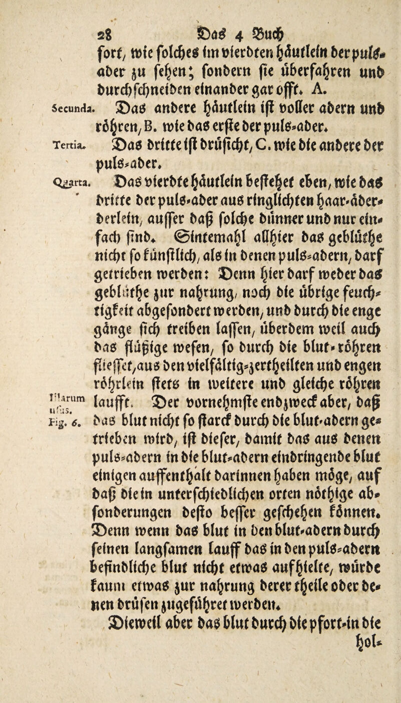 fort/ wie foldfeß Im uietbten fcäuflefn berpulß* aber ju felgen; fonbern ft« überfahren unb burd)fd>ndben einanber gar offr* A. Secunda. ©aß anbere ^duftdn tfi »oder abern unb rß^re«/ B. wie baß erfie berpulß»aber* Terda. ©aß britte 1(1 bruftdff/ C. wie bf e anbere ber pulß*aber. Quarta. ©aß »ierbfe häutlein befielet «6««, wie baß britte ber pulß*aber auß rfnglidjten haar«äber* berlefn, aujfer bafj foldfe bunnerunb nur ein« fad) finb* ©frtfema^i allster baß geblufhe nicht fo funfllfch, alß in benen pulß^aberit/ batf getrieben werben: ©enn Ifierbarf weber baß geblufhe jnr na|rung, noch bie übrige feud)* dgfett abgefonbert werben, unb burd) bie enge gange ftd) treiben taffen/ überbem weil auch baß flufjige wefen/ fo burd) bie blut» rohren fite jfet,auß ben oielfdltig^ertheilten unb engen rof)ddn fletß in weitere unb gleiche rohren r'mim (au^t ©ec bornehmfte enbjwecf aber, ba0 %. ’e. baß blut nid)t fo ftarrf burd) bie blubbern ge* trieben wirb/ iji biefet/ bamit baß auß benen pulo*abern in bie blut»abent einbdngenbe blut einigen auffent hält barinnen ffaben möge, auf ba0 bie in unferfd)ieblid)en orten nötige ab» fonberungen befio beffer gefchehen fönnen. ©enn wenn baß blut in ben blubabernburd) feinen langfamen lauff baßinbenpulß*abem befntblfche blut nicht etwaß aufhfelte, würbe fatmi etwaß jut na^rung berer theile ober be* nen brüfen jugefdhret werben* ©fewetl aber baß blut burd) bie pfortdn bie |ol*