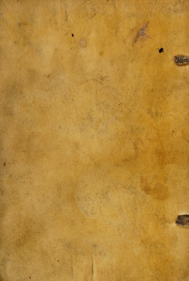 digitised image 1