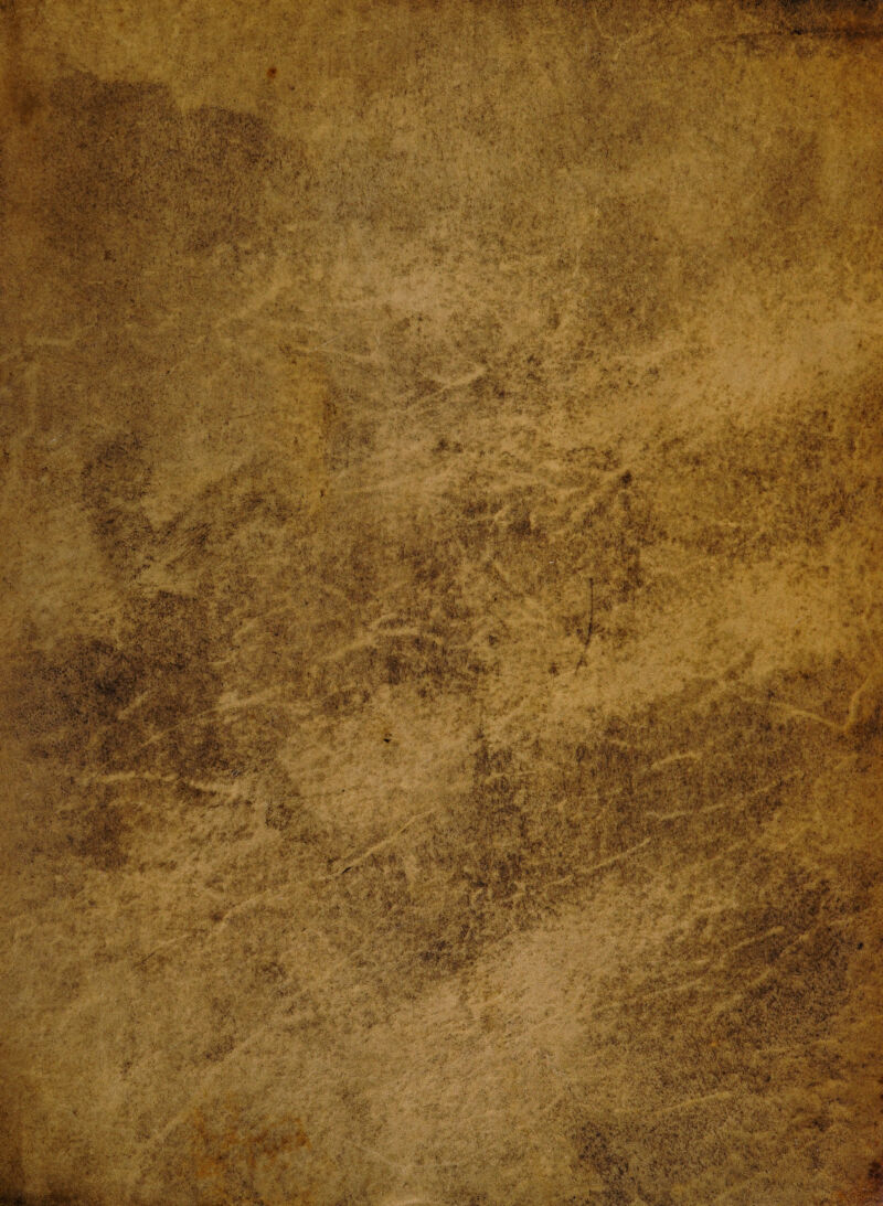 .'fer *'**'■ **■ \ ' ■■& J'*: ■ ■  *. •■ -£» \i ■ -f '\jjbj' •V.*?t> v • ^ f • * 1 * • * . • ■ - V. - ■ * • ' • i :-' ••; ':*i% ■■(-■ &r\Wn:*j& *>■ «s;-ir ••••■i' ;U'• : « ' . „.• '.$■ . &k... ^mP*SEt • * '■ A ■ %-if -.:'-v • •.•%,> 4' •' , , 'V -v • • • ^ ~ •&••. • -*-\' •». •'• i» 'v i • > -•'. -* ■ >£>•*>»•' . *• ,-• •*• 4- iigSft* &&*€* ■) s* §. «■*?? Wms __3 fe’ v.; Vi ■ ■& :>‘ «?*.?*&'£2*^ V4 ^^•Vv-.:¥ :VTv4.;': -;• Sv