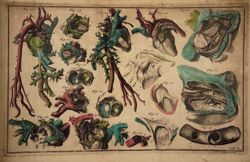 ••n • > * rzsssBsssm wm\ i, Jf 'vSBBiuifyj'* ,V*V *•