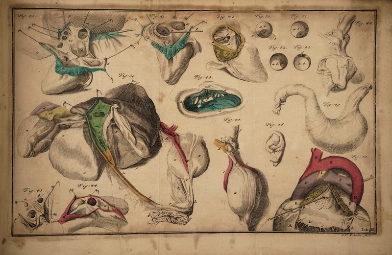 ■3.»M V»- mm f/S/S/f, xV *_