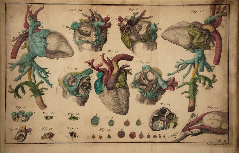 wqm % 'f HH ;w UL1 V« !'’ ^ ■■ A