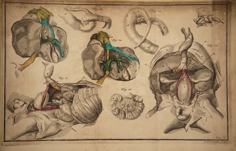 s zr s. rzz/p^: A_____ mmmmtmmmmmmmmam St rrz ■ '. ; i-4- • ^2. ?S. cJ?z^': Ts. s. \