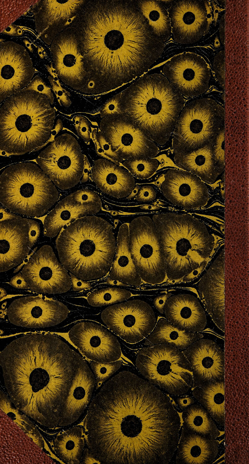 WW, wjÊt y,.. > T'jmm j«é. ■& V *jg£ /.JW £ WÉZ ti -i. i* \ L Vrr Wpmfi'À&'Kv ^\V,,r • vjf- X '