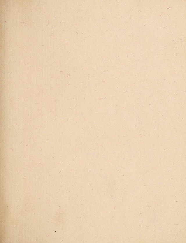 digitised image 3