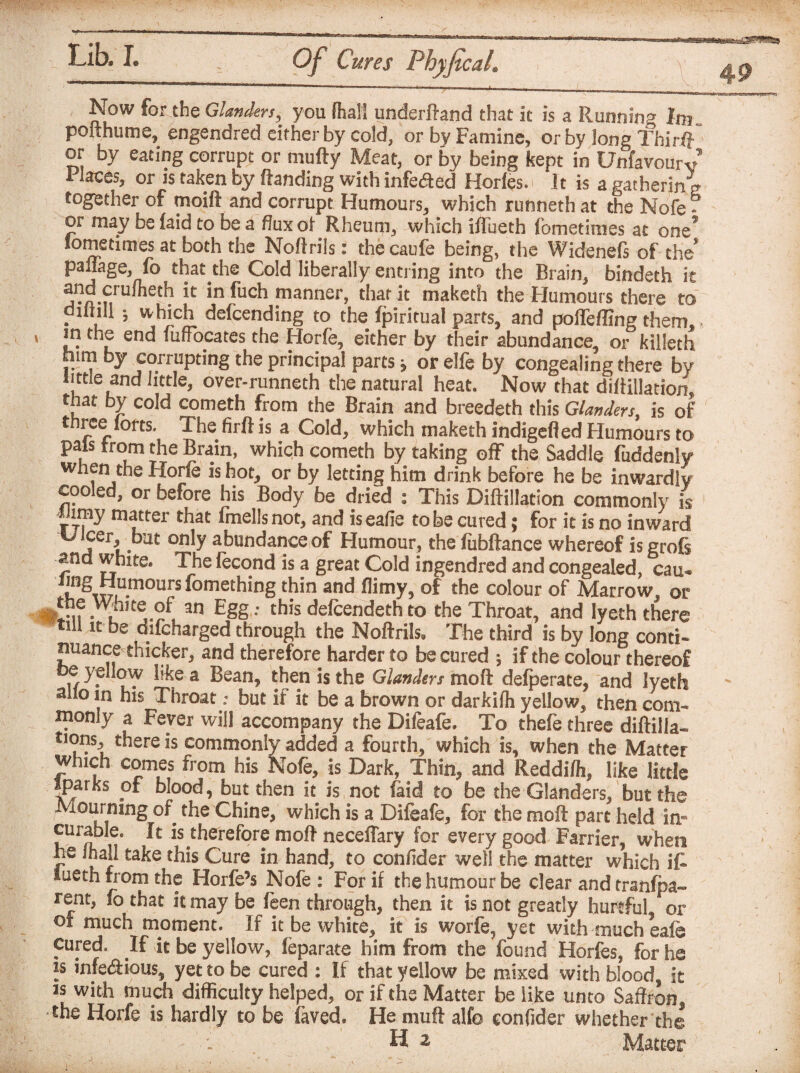 I Now for the Glanders, you fiiali underftand that it is a Running Irn poithume, engendred cither by cold, or by Famine, or by long Thirl} or by eating corrupt or mufty Meat, or by being kept in Unfavourv Places, or is taken by (landing with infected Horles.i Jt is a gathering together of moift and corrupt Humours, which runneth at the Nofe - or may be laid to be a flux of Rheum, which iliueth fometiroes at one* sometimes at both the Nollrils: the caufe being, the Widenefs of the* paflage, fo t*1aC tlie liberally entring into the Brain, bindeth it and craiheth it in fuch manner, that it maketh the Humours there to duhli ; which defcending to the fpiritual parts, and poifeffing them, in the end fuffocates the Horfe, either by their abundance, or kilieth him by corrupting the principal parts j or elfe by congealing there by little and little, over-runneth the natural heat. Now that diltillation, that by cold cometh from the Brain and breedeth this Glanders, is of three lorts. The firft is a Cold, which maketh indigefied Humours to pals from the Brain, which cometh by taking off the Saddle fuddenly when the Horfe is hot, or by letting him drink before he be inwardly cooled, or before his Body be dried : This Diffillation commonly is JJimy matter that fmells not, and iseafie to be cured; for it is no inward SJIcer, but only abundance of Humour, the (Iihfl-anre whcmf an Egg.- this defcendeth to the Throat, and lyeth there till it be difcharged through the Noftrils. The third is by long conti¬ nuance thicker, and therefore harder to be cured ; if the colour thereof e yellow like a Bean, then is the Glanders mod delperate, and lyeth ailoin his Throat: but if it be a brown or darkifh yellow, then com¬ monly a Fever will accompany the Difeafe. To thefe three diftilla- tions there is commonly added a fourth, which is, when the Matter which comes from his Nofe, is Dark, Thin, and Reddi/h, like little IparKs of blood, but then it is not faid to be the Glanders, but the Mourning of the Chine, which is a Difeafe, for the mod part held in¬ curable. It is therefore moft neceflary for every good Farrier, when he ihall take this Cure in hand, to confider well the matter which if- lueth from the Horfe’s Nofe: For if the humour be clear and tranfea- rent, lb that it may be leen through, then it is not greatly hurtful or of much moment. If it be white, it is worfe, yet with much eafe Cured. If it be yellow, feparate him from the found Horfes, for he is infectious, yet to be cured : If that yellow be mixed with blood, it is with much difficulty helped, or if the Matter be like unto Saffron the Horfe is hardly to be faved. He muff alfo confider whether the H 2 Matter