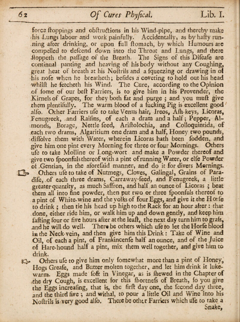 fores Hoppings and obftru&ions in his Wind-pipe* and thereby make his Lungs labour and work painfully. Accidentally, as byrhafiy run¬ ning after drinking, or upon full ftomach, by which Humours arc compelled to defeend down into the Throat and Lungs* and there iioppeth the paffage of the Breath. The Signs of this Difeafe are continual panting and heaving of his body without any Coughing, great heat of breath at his Noitrils and a fqueezing or drawing in of his nofe when he breatheth; befides a coveting to hold out his head whilft he fetcheth his Wind. The Cure, according to the Opinion of fome of our bell Farriers, is to give him in his Provender, the Kirnelsof Grapes, for they both fat and purge $ and you muft give them plentifully. The warm blood of a lucking Pig is excellent good alio. Ocher Farriers ufe to take Venus hair, Ireos* Afh-keys* Licoras, Fenugreek, and Railins, of each a dram and a half; Pepper, Al- iinondsjj Borage* Nettle feed, Ariftolochia, and Colloquintida, of each two drams, Algaritium one dram and a half* Honey two pounds, diflblve them with Water, wherein Licoras hath been fodden, and give him one pint every Morning for three or four Mornings. Others ufe to take Molline or Long-wort and make a Powder thereof and give two fpoonfuls thereof with a pint of running Water, or elfe Powder of .Gentian, in the aforefaid manner, and do it for divers Mornings. Op Others ufe to take of Nutmegs* Cloves, Galingal, Grains of Para- dife, .of each three drams, Carraway-feed, and Fenugreek, a little greater quantity, as much Saffron, and half an ounce of Licoras ; beat them all into fine powder, then put two or three fpoonfuls thereof to a pint of White-wine and the yolks of four Eggs* and give it the Horfe to drink ; then tie his head up high to the Rack for an hour alter: that done* either ride him, or walk him up and down gently, and keep him falling four or five hours after at the leaft, the next day turn him to grafs, and he will do well. There be others which ufe to let the Horfe blood in the Neck-vein, and then give him this Drink : Take of Wine and Oil, of each a pint, of Frankincenle half an ounce, and of the Juice of Hare-hound half a pint, mix them well together, and give him to drink. Others ufe to give him only fomewhat more than a pint of Honey, Hogs Greafe, and Butter molten together, and let him drink it luke¬ warm. Eggs made foft in Vinegar, as is Ihewed in the Chapter of the dry Cough, is excellent for this fbortnefs of Breath, fo you give the Eggs increafing* that is, the firft day one, the fecond day three* and the third five } and withal, to pour a little Oil and Wine into bis Noitrils is very good alfo. There be other Farriers which ule to take a Snake,
