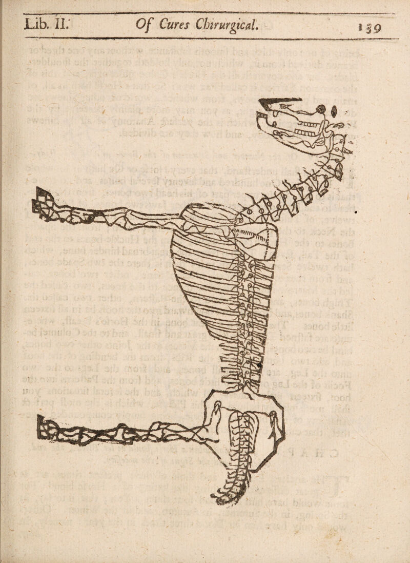 / Lib. I!.' Of Cures Cbirurgical. 0