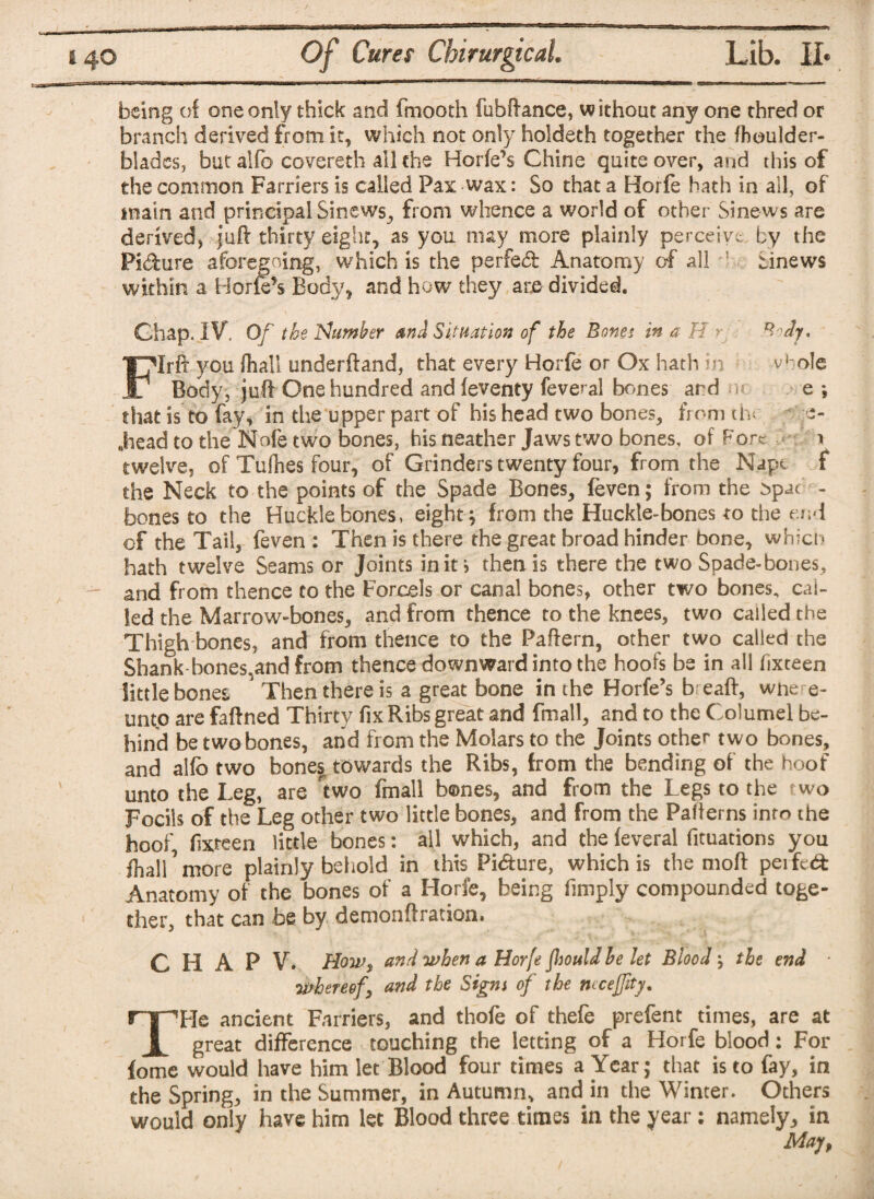 being of one only thick and fmooth fubftance, without any one thred or branch derived from it, which not only holdeth together the fhoulder- blades, but alfo covereth all the Horfe’s Chine quite over, and this of the common Farriers is called Pax wax: So that a Horfe hath in all, of main and principal Sinews, from whence a world of other Sinews are derived, juft thirty eight, as you may more plainly perceive; by the PIdure aforegoing, which is the perfed Anatomy of all : Sinews within a Horie’s Body, and how they are divided. Chap. IV. Of the Number and Situation of the Bones in a H ■■ ^dy, FIrft you fhall underftand, that every Horfe or Ox hath in -vbole Body, juft One hundred and feventy feveral bones and u: e *, that is to fay, in the upper part of his head two bones, from ch *- Jiead to the Nofe two bones, his neather Jaws two bones, of Fore i twelve, of Tufhes four, of Grinders twenty four, from the Nape f the Neck to the points of the Spade Bones, feven; from the t>pac - bones to the Hucklebones, eight; from the Huckle-bones to the end of the Tail, feven : Then is there the great broad hinder bone, which hath twelve Seams or Joints in it > then is there the two Spade-bones, and from thence to the Forcds or canal bones, other two bones, cal¬ led the Marrow-bones, and from thence to the knees, two called the Thigh bones, and from thence to the Paftern, other two called the Shank bones^and from thence downward into the hoofs be in all fixteen little bones Then there is a great bone in the Horfe’s be aft, wne e- unto are faftned Thirty fix Ribs great and fmall, and to the Columel be¬ hind be two bones, and from the Molars to the Joints other two bones, and alfo two bones towards the Ribs, from the bending of the hoof unto the Leg, are Wo fmall bones, and from the Legs to the wo Focils of the Leg other two little bones, and from the Pafferns into the hoof, fixteen little bones: all which, and the feveral fituations you fhall ^ more plainly behold in this Pi&ure, which is the moft perfed: Anatomy of the bones of a Horfe, being fimply compounded toge¬ ther, that can be by demonftration. C H A P V. How $ and when a Horfe fhould be let Blood; tie end ■ whereof, and the Signs of the nccejjity. Tide ancient Farriers, and thofe of thefe prefent times, are at great difference touching the letting of a Horfe blood: For fome would have him let Blood four times a Year; that is to fay, in the Spring, in the Summer, in Autumn, and in the Winter. Others would only have him let Blood three times in the year: namely, in May,