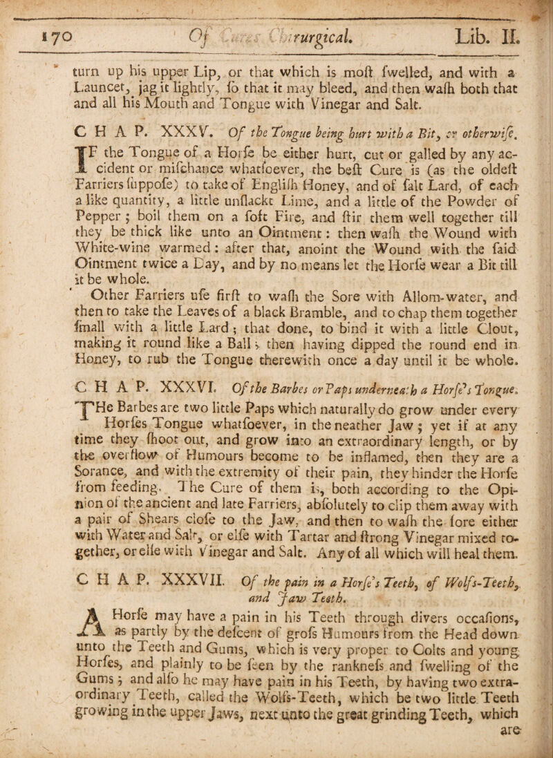 turn up his upper Lip, or that which is mo ft fwelled, and with a Launcet, jag it lightly, lb that it may bleed, and then wafh both that and all his Mouth and Tongue with Vinegar and Salt. CHAP. XXXV. Of the Tongue being hurt with a Bit3 c-r otherwije, TF the longue of a Horfe be either hurt, cut or galled by any ac¬ cident or mifchance whatsoever, the beft Cure is (as the oldeil Farriers luppofe) to take of Englifh Honey, and of fait Lard, of each alike quantity, a little undackt Lime, and a little of the Powder of Pepper ; boil them on a foft Fire, and ftir them well together till they be thick like unto an Ointment: then wafh the Wound with White-wine warmed : after that, anoint the Wound with the faid Ointment twice a Bay, and by no means let the Horfe wear a Bit till it be whole. Other Farriers ufe firft to wafh the Sore with Allom-water, and then to take the Leaves of a black Bramble, and to chap them together final! with a little Lard ; that done, to bind it with a little Clout, making it round like a Ball > then having dipped the round end in Honey, to rub the Tongue therewith once a day until it be whole. C HAP. XXXVI. Of the Barbes or Taps underneath a Horfe* s Tongue, J^He Barbes are two little Paps which naturally do grow under every Horfes Tongue whatfoever, in the neather Jaw * yet if at any time they flioot out, and grow into an extraordinary length, or by the overflow of Humours become to be inflamed, then they are a Sorance, and with the extremity of their pain, they hinder the Horfe from reeding. ^ 1 he Cure of them is, both according to the Opi¬ nion ol the ancient and late Farriers, ablblutely to clip them away with a pair of Shears ciofe to the Jaw7 and then to wafh the fore either with Water and Sab, or elfe with Tartar and ftrong Vinegar mixed to¬ gether, or elfe with V inegar and Salt. Any of all which will heal them. A C h A P. XXXVII. Of the fain in a Horfe s Teeth, of Wolfs-Teeth^ and Jaw Teeth. * Hone may have a pain in his Teeth through divers occafions, — L as partly by the defcent of grofs Humours from the Head down, unto the ieeth and Gums, which is very proper to Colts and young Horfes, and plainly to be Ben by the ranknefs and fweiiing of the Gums} and alfo he may have pain in his Teeth, by having two extra¬ ordinary Teeth, called the Wolfs-Teeth, which be two little Teeth growing in the upper Jaws, next unto the great grinding Teeth^ which are-