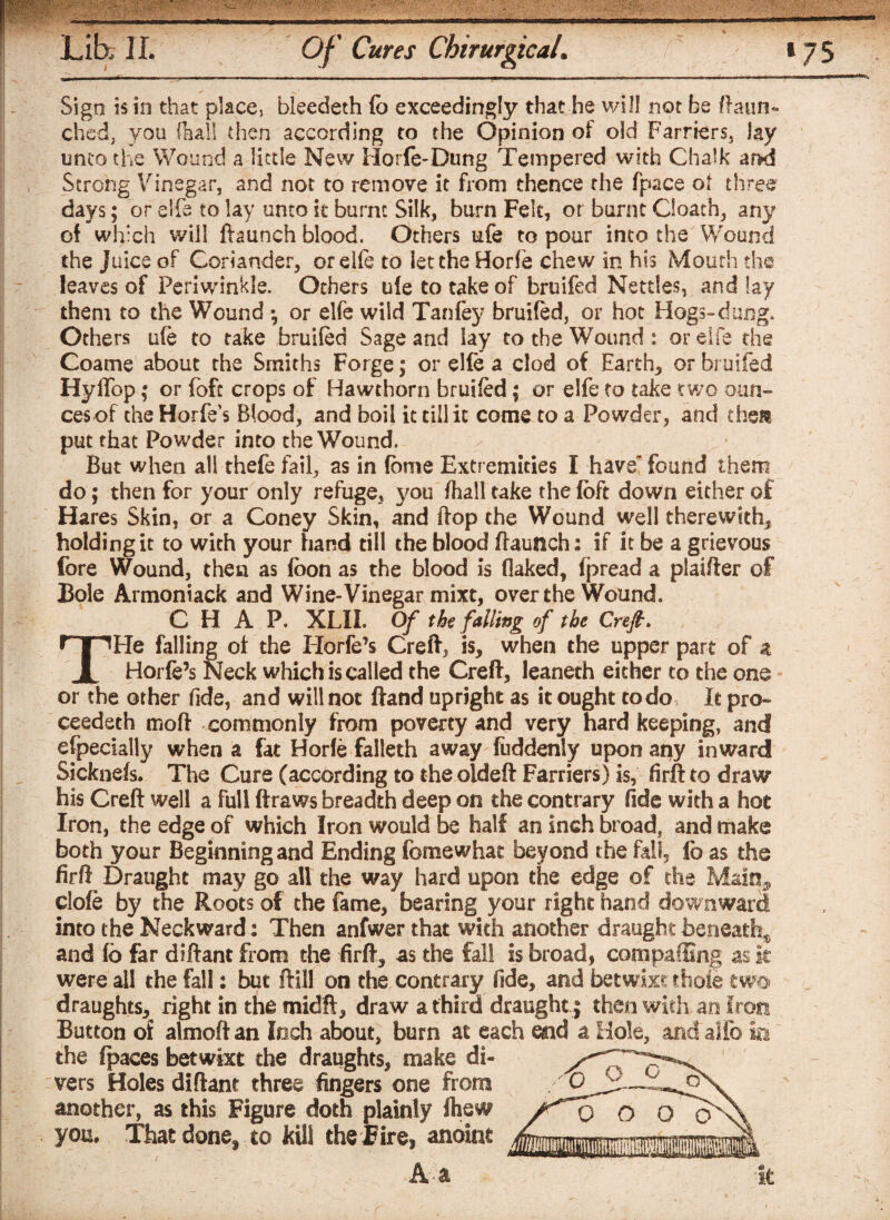 _j|„ _| _ _L . 1 |. j | __f j_|_i __j_t j ■ ' = ■ — — Sign is in that place., bleedeth fb exceedingly that he will not be (laun¬ ched, you (hall then according to the Opinion of old Farriers, lay unco the Wound a little New Horfe-Dung Tempered with Chalk ar>d Strong Vinegar, and not to remove it from thence the fpace ot three days; or elfe to lay unto it burnt Silk, burn Felt, or burnt Cioath, any of which will ftaunch blood. Others ufe to pour into the Wound the Juice of Coriander, or elfe to let the Horfe chew in his Mouth the leaves of Periwinkle. Others ule to take of bruifed Nettles, and lay them to the Wound •, or elfe wild Tanfey bruifed, or hot Hogs-dung. Others ufe to take bruifed Sage and lay to the Wound: or elfe the Coame about the Smiths Forge; or elfe a clod of Earth, or bruifed HyfTop; or fofc crops of Hawthorn bruifed; or elfe to take two oun¬ ces of the Horfe s Blood, and boil it till it come to a Powder, and them put that Powder into the Wound. But when all thefe fail, as in fbme Extremities I have' found them do; then for your only refuge, you fhalltake thefoFt down either of Hares Skin, or a Coney Skin, and ftop the Wound well therewith, holding it to with your hand till the blood (launch: if it be a grievous fore Wound, then as fbon as the blood is flaked, fpread a plaifter of Bole Armoniack and Wine-Vinegar mixt, over the Wound. CHAP. XLIL Of the falling of the Creft* He falling of the Horfe’s Creft, is, when the upper part of a Horfe’s Neck which is called the Creft, leaneth either to the one or the other fide, and will not (land upright as it ought to do It pro¬ ceeded moft commonly from poverty and very hard keeping, and efpecially when a fat Horfe falleth away fuddenly upon any inward Sicknefs. The Cure (according to the oldeft Farriers) is, firft to draw his Creft well a full ftraws breadth deep on the contrary fide with a hot Iron, the edge of which Iron would be half an inch broad, and make both your Beginning and Ending fomewhat beyond the fall, fc as the firft Draught may go all the way hard upon the edge of the Main^ clofe by the Roots of the fame, bearing your right hand downward into the Neekward: Then anfwer that with another draught beneath* and fb far diftant from the firft, as the fall is broad, comparing as it were all the fall: but ftill on the contrary fide, and betwixt thoie two draughts, right in the midft, draw a third draught; then with an Iron Button of almoft an Inch about, burn at each end a Hole, andalfo in the fpaces betwixt the draughts, make di¬ vers Holes diftant three fingers one from another, as this Figure doth plainly ftew you. That done, to kill the Fire, anoint A a It