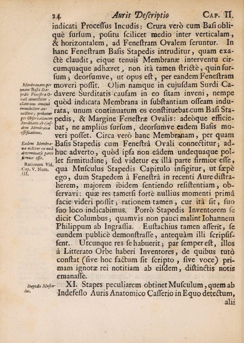 indicati Procefius Incudis: Grura vero cum Bafiobli¬ que furfiim, pofitu fciiicet medio inter verticalam, & horizontalem, ad Feneftram Ovalem feruntur. In hanc Feneftram Bafis Stapedis intruditur, quam exa- £te claudit , eique tenuis Membranae interventu cir¬ cumquaque adhaeret ^ non ita tamen ftrifte, quinfur- fum> deorfumve, ut opus eft, per eandem Feneftram Membranam,per moveri poffit. Olim namque in cujufdam Surdi Ca- qnam Bajis Sia- . A . . r . x ped« Fenejirao-aaverc Surditatis caulam m eo litam inveni, nempe 2lmnZdomninb quod indicata Membrana in fubftantiam ofleam indu- ZTacreTproZturrata» unum continuatunl os conftitucbat cum Bafi Sta- per Objervationcm pedis, & Margine Feneftne Ovalis: adebque efficie- Swditatis ab ejuj- * t • \ r r r j n dem Membrana bat, ne amplius lurium, deoriumve eadem naiis mo- ficatione. verj pofiet. Circa vero hanc Membranam, per quam Eadem Membra- Bafis Stapedis cum Feneftra Ovali conneftitur > ad- «a 'Videtur ex una • i1 \i*r A •* 1 1 determinat parte huc adverto, quodipia non eadem undequaque pol- ^Rationfm vid firmitudine* fed videtur ex illa parte firmior efie, cap.v.Num.1 ’qua Mufculus Stapedis Capitulo infigitur, ut Caepe ego, dum Stapedem a Feneftra in recenti Aurediftra- herem, majorem ibidem fentiendo refiftentiam , ob- fervavi: quae res tametfi forte nullius momenti prima facie videri poffit * rationem tamen , cur ita fit, fuo fuo loco indicabimus. Porro Stapedis Inventorem fe dicit Columbus > quamvis non pauci malint Iohannem Philippum ab Ingraflia. Euftachius tamen aflerit, fe eundem publice demonftraffe, antequam illi fcripfif- a Litterato Orbe haberi Inventores, de quibus tuto conftat (five hoc faftum fit feripto , five voce) pri¬ mam ignotas rei notitiam ab eifdem, diftin&is notis emanafie. Stapedis Mvfcn- XI. Stapes peculiarem obtinet Mufculum, quem ab Indefeflo Auris Anatomico Caflerio in Equo detectum. m.