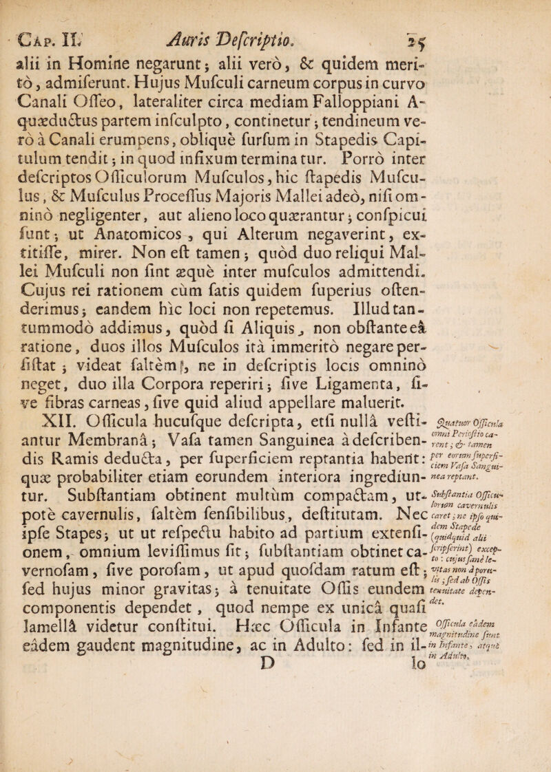 alii in Homine negarunt; alii vero, & quidem meri¬ to , admiferunt. Hujus Mufculi carneum corpus in curvo Canali Ofleo, lateraliter circa mediam Falloppiani A- quaeduftus partem infculpto, continetur*, tendineum ve¬ ro a Canali erumpens, oblique furfum in Stapedis Capi¬ tulum tendit 5 in quod infixum termina tur. Porro inter defcriptosOfficulorum Mufculos, hic ftapedis Mufcu- lus, & Mufculus ProcefTus Majoris Mallei adeo, nifiom¬ nino negiigenter, aut alieno loco quaerantur; confpicui funt; ut Anatomicos , qui Alterum negaverint, ex* titiffe, mirer. Non eft tamen; quod duo reliqui Mal¬ lei Mufculi non fint seque inter mufculos admittendi» Cujus rei rationem cum fatis quidem fuperius often- derimus; eandem hic loci non repetemus. Illud tan¬ tummodo addimus, quod fi Aliquis,, non obftanteel ratione, duos illos Mufculos ita immerito negare per- ilftat ; videat faltemf, ne in defcriptis locis omnino neget, duo illa Corpora reperiri; fi ve Ligamenta, li¬ ve fibras carneas, five quid aliud appellare maluerit. XII. O(ficula hucufque defcripta, etii nulla vefti- antur Membrana; Vafa tamen Sanguinea adefcriben- dis Ramis dedufta, per fuperficiem reptantia habent: qux probabiliter etiam eorundem interiora ingrediun¬ tur. Subftantiam obtinent multum compaftam, ut- pote cavernulis, faltem fenfibilibus, deftitutam. Nec ipfe Stapes; ut ut refpeftu habito ad partium extenti¬ onem ^omnium leviflimus fit; fubllantiam obtinetca- vernofam, five porofam, ut apud quofdam ratum eft; fed hujus minor gravitas; a tenuitate Offis eundem componentis dependet, quod nempe ex unica quafi lamelll videtur conftitui. Hxc Officula in Infante eadem gaudent magnitudine, ac in Adulto: fed in il- D lo Quamr Offcria cmni Periojlio ca¬ rent j & tamen per eorum fuperft- ciem Vafa Sangui¬ nea reptant. Snbflantia Officit- lorum cavernulis caret, ne ipfo qui¬ dem Stapede (quidquid alii fcripferint) excep¬ to : cujusfane le¬ vitas non aporil¬ lis ■ fed ab OJJis tenuitate depen¬ det. Officula eadem magnitudine funt in Infante, atqui in Adultis.