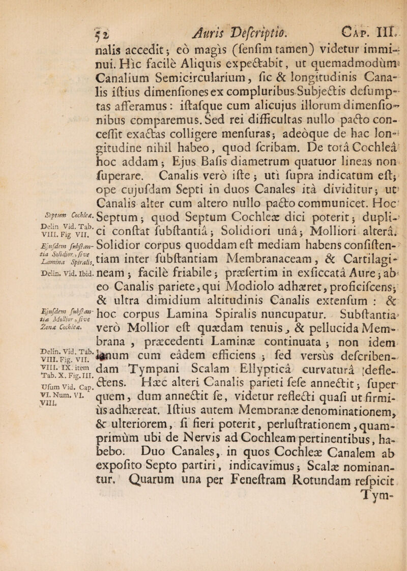 nalis accedit ; ed magis (fenfim tamen) videtur immi¬ nui. Hic facile Aliquis expeftabit, ut quemadmodum* Canalium Semicircularium, fic & longitudinis Cana- lis iftius dimenfionesex compluribus Subjeftis defump-- tas afferamus: iftafque cum alicujus illorumdimenfio- nibus comparemus. Sed rei difficultas nullo pafto con¬ cedit exaftas colligere menfuras; adeoque de hac lon¬ gitudine nihil habeo, quod fcribam. De tora Cochlea hoc addam; Ejus Balis diametrum quatuor lineas non fuperare. Canalis vero ifte; uti fupra indicatum eft; ope cujufdam Septi in duos Canales ita dividitur; uv Canalis alter cum altero nullo pa£to communicet. Hoc Ejufdem fvbjlan- Solidior corpus quoddam eft mediam habens confiften- ^if^i^.tiam inter fubftantiam Membranaceam, & Cartilagi- Deiin.vid.ibid.neam ; facile friabile; prxfertim in exficcata Aure; ab eo Canalis pariete,qui Modiolo adhaeret, proficifcens; & ultra dimidium altitudinis Canalis exrenfum : & corPus Lamina Spiralis nuncupatur. Subftantia* zona cochie*. vero Mollior eft quxdam tenuis ^ & pellucida Mem¬ brana , prxcedenti Laminx continuata ; non idem vili?FigdvTr.b’iin um cum eadem efficiens ; fed versus defcriben- dam Tympani Scalam Ellyptica curvatura :defie- urumvid. cap.^ens- Hsec alteri Canalis parieti fele anne£ht; fu per • quem, dum anne&it fe, videtur refledi quafi ut firmi- VI. Nam, VI VIII, iis adhaereat. Iftius autem Memoranae denominationem, & ulteriorem, fi fieri poterit, perluftrationem,quam¬ primum ubi de Nervis ad Cochleam pertinentibus, ha¬ bebo. Duo Canales, in quos Cochleae Canalem ab expofico Septo partiri, indicavimus> Scalae nominan¬ tur, Quarum una per Feneftrara Rotundam refpicit