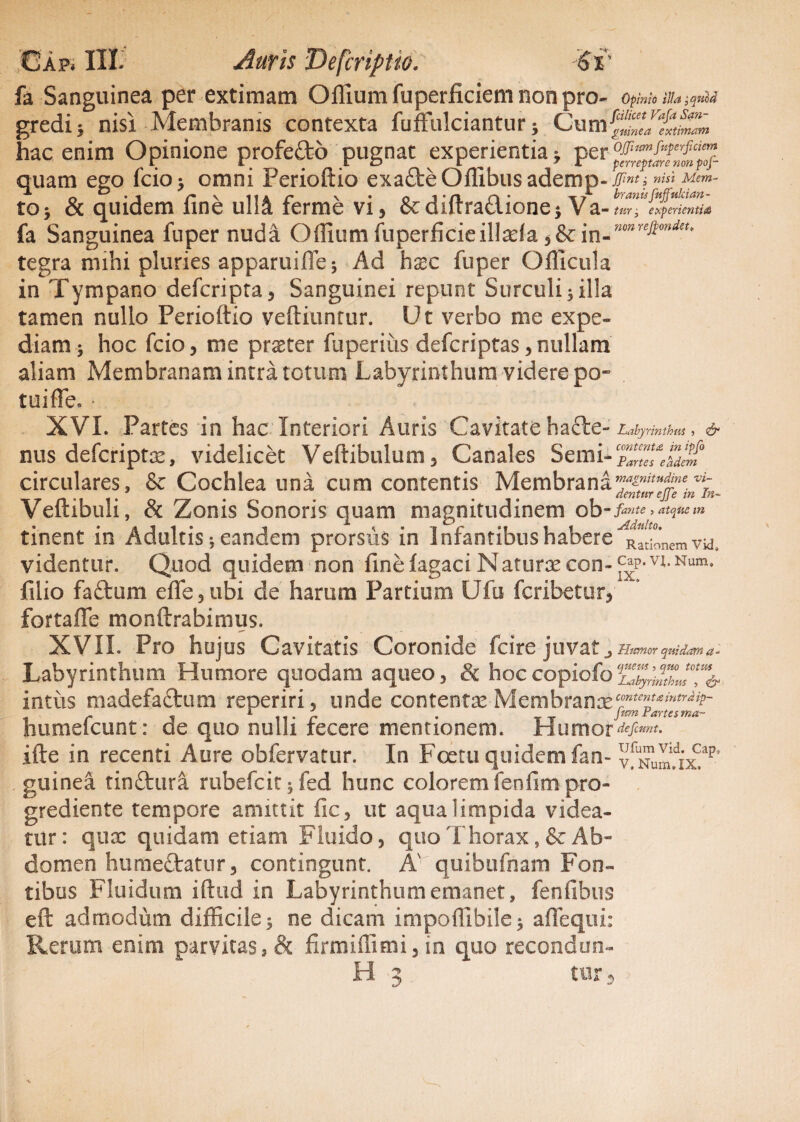 fa Sanguinea per extimam O filum fuperficiem non pro- Opinio illa ;qncd gredi* nisi Membranis contexta fuffulciantur 5 Cum hac enim Opinione profefto pugnat experientia * p quam ego fcio* omni Perioftio exadteOffibusademp- JJint j nisi Mem- to; & quidem fine uM ferme vi, &diftradionej Va- tur\' experienti/S fa Sanguinea fuper nuda Offium fuperficieillada in-”°”re$ondeu tegra mihi pluries apparuifle-, Ad hasc fuper Officula in Tympano defcripta, Sanguinei repunt Surculi , illa tamen nullo Perioftio veftruntur. Ut verbo me expe¬ diam^ hoc fcio5 me prxter fuperiiis defcriptas > nullam aliam Membranam intra totum Labyrinthum videre po¬ tui fle, * XVI. Partes in hac Interiori Auris Cavitate ha£te- Labyrinthus ■> & nus defcriptas, videlicet Vertibulum, Canales Semi-‘ZlTeZlm circulares, & Cochlea una cum contentis Membrana Veftibuh, & Zonis Sonoris quam magnitudinem ob - fante , atque m tinent in Adultis * eandem prorsus in Infantibus habere R2’nem vid, videntur. Quod quidem non finelagaci Naturae con-^p-vi-Num« filio faftum effi^ubi de harum Partium Ufu fcribetur, fortaffe monftrabimus. XVII. Pro hujus Cavitatis Coronide fcire juvat Humor quidam a - Labyrinthum Humore quodam aqueo, & hoc copiofo ^yrhl7JT& intiis madefactum reperiri, unde contentre Membranx^^”^' Jiumefcunt: de quo nulli fecere mentionem. Humor ifte in recenti Aure obfervafur. In Foetu quidem fan- yf^urnux^ guinea tinftura rubefcit; fed hunc colorem fenfimpro- grediente tempore amittit fic5 ut aqua limpida videa¬ tur: qiicX quidam etiam Fluido, quo Thorax, & Ab¬ domen humeftatur 3 contingunt. A' quibufnam Fon¬ tibus Fluidum iftud in Labyrinthum emanet, fenfibus eft admodum difficile 5 ne dicam impoffibile$ affequi: Rerum enim parvitas, & HrmiffimRin quo recondun-